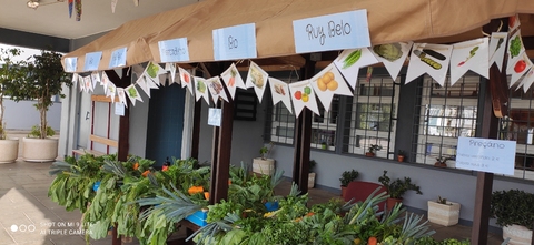 Feira biológica (produtos da horta)