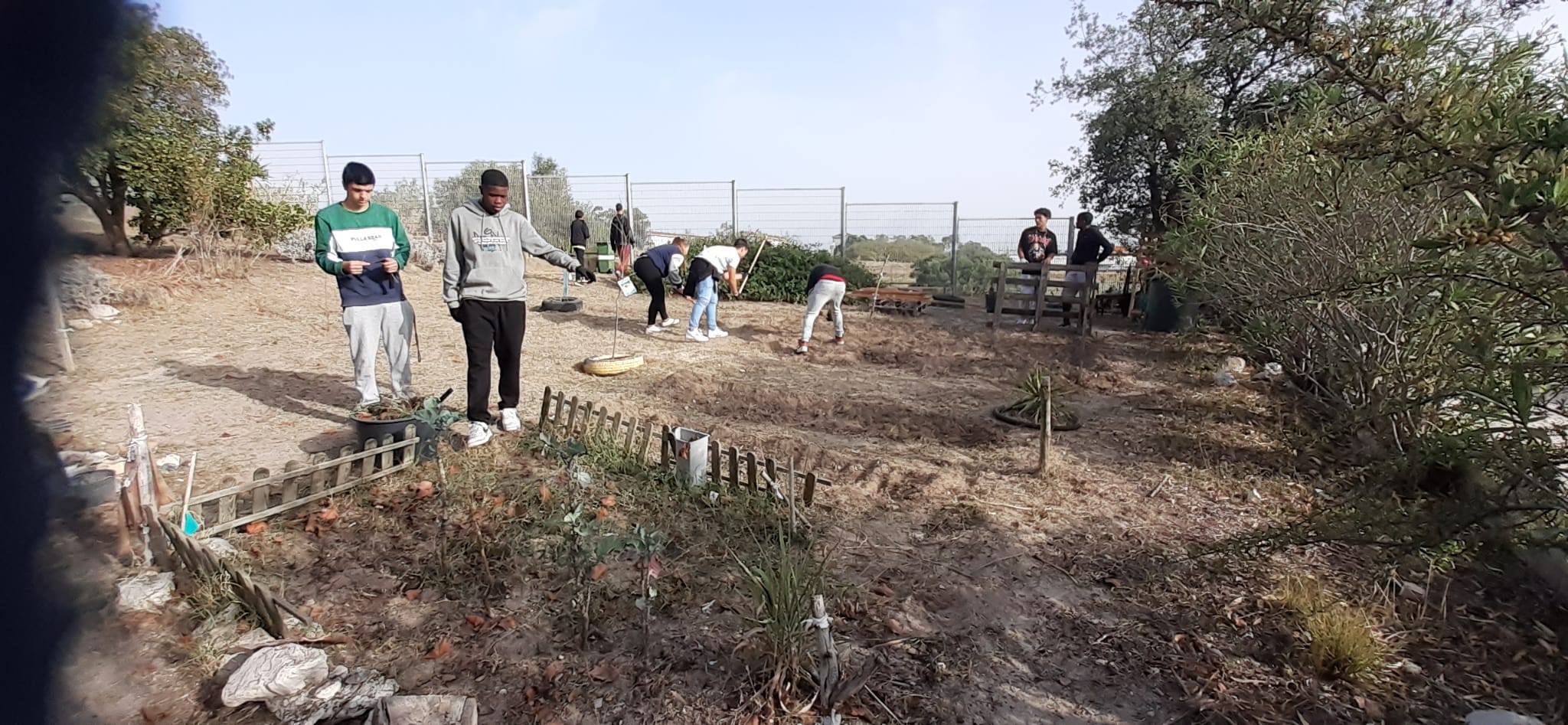 Os alunos mondaram, sacharam o terreno destinado à horta na escola.