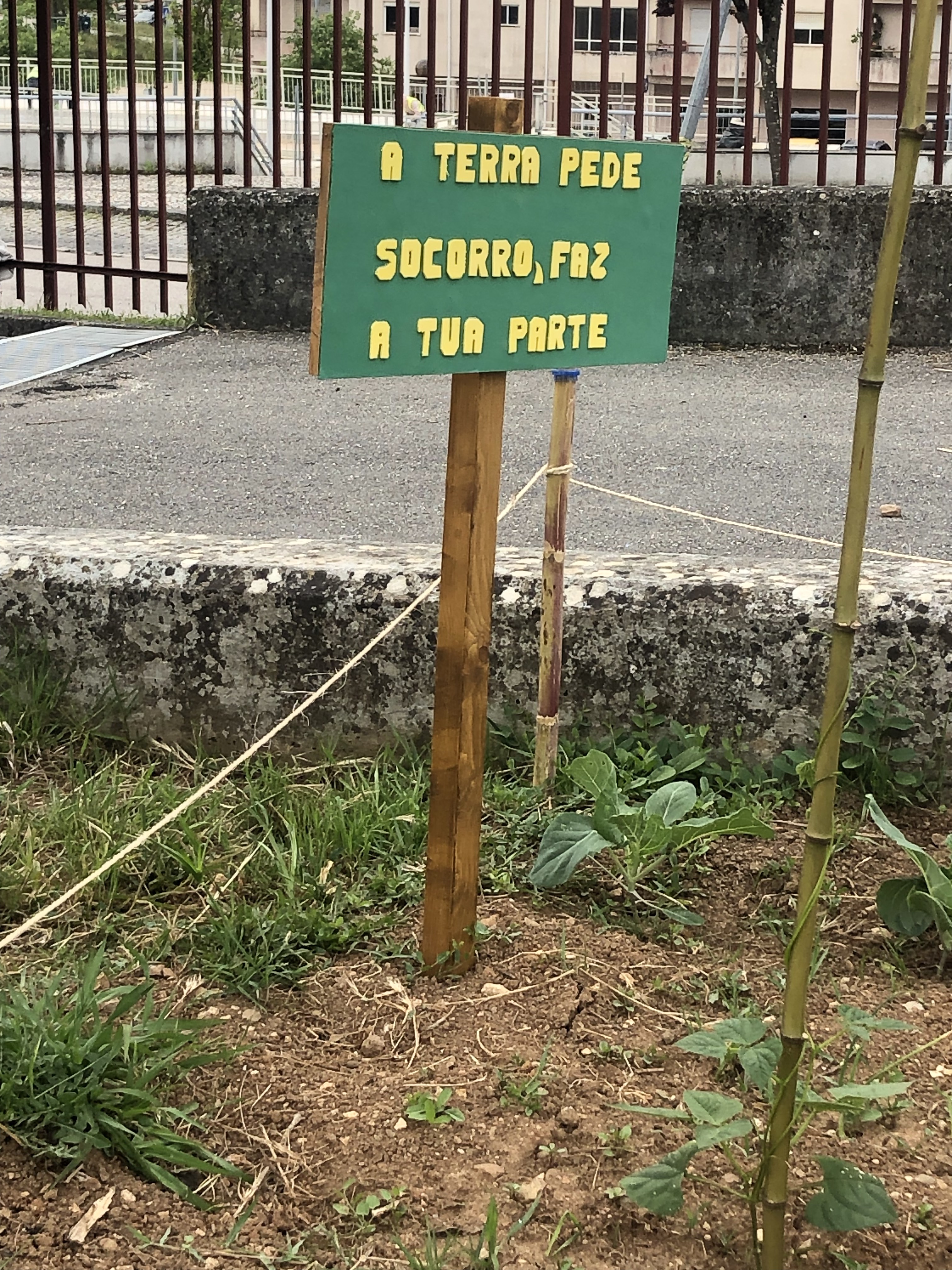 Horta Biológica da Escola José Falcão - Detalhe Placa sensibilização
