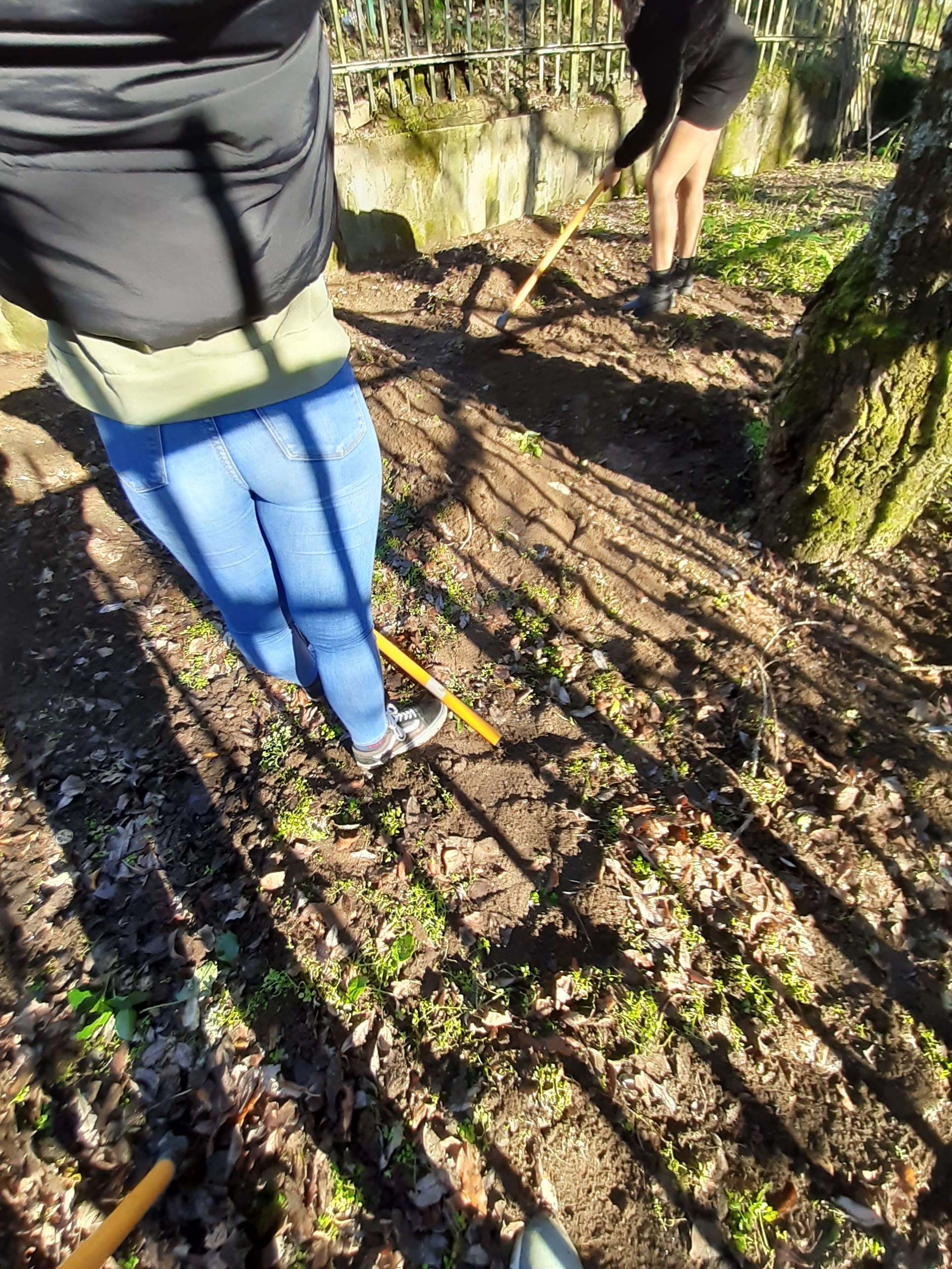 Preparação do terreno para instalação da horta.