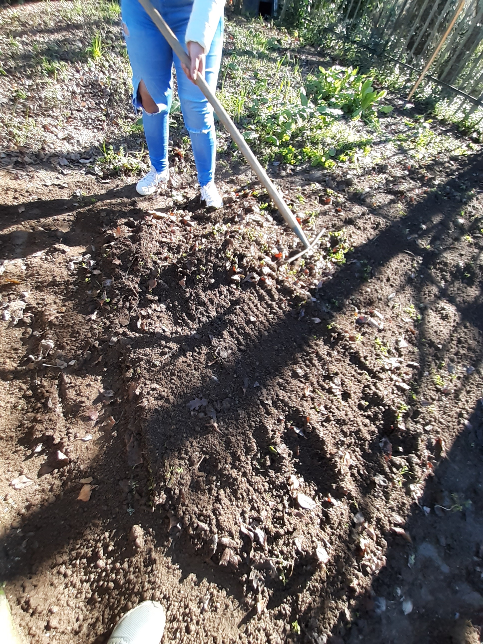 Manutenção da horta preparação de terreno e colocação de material na compostagem.