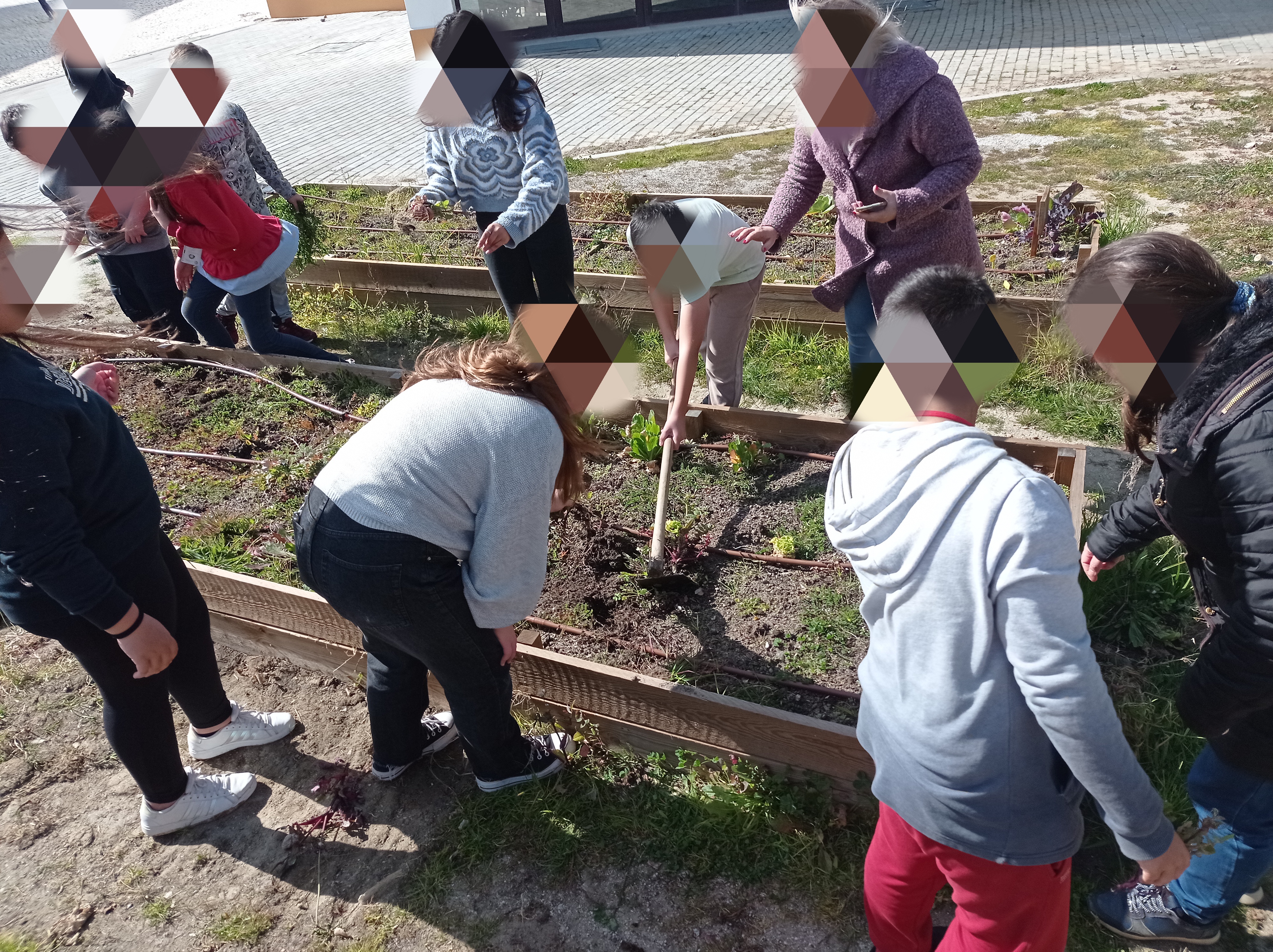 Preparação da horta
Os alunos removeram as ervas daninhas e prepararam o terreno para plantarem produtos da época.