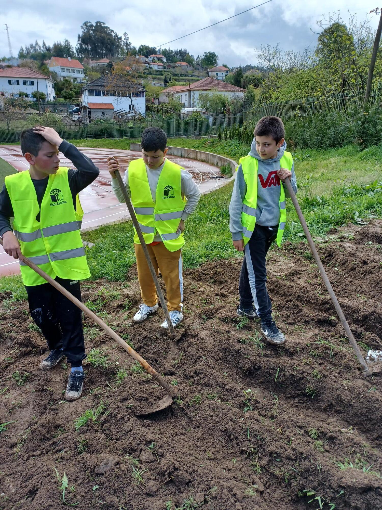 Preparação do terreno (lavra)
