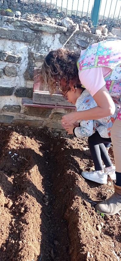 Plantação de alhos feita pelos alunos para entrarem em contacto com a terra.
