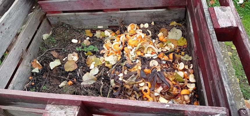 A compostagem é um processo simples, económico e ecologicamente sustentável. Aproveitámos alguns restos de comida não cozinhada e aparas da horta e fizemos o nosso próprio fertilizante.
