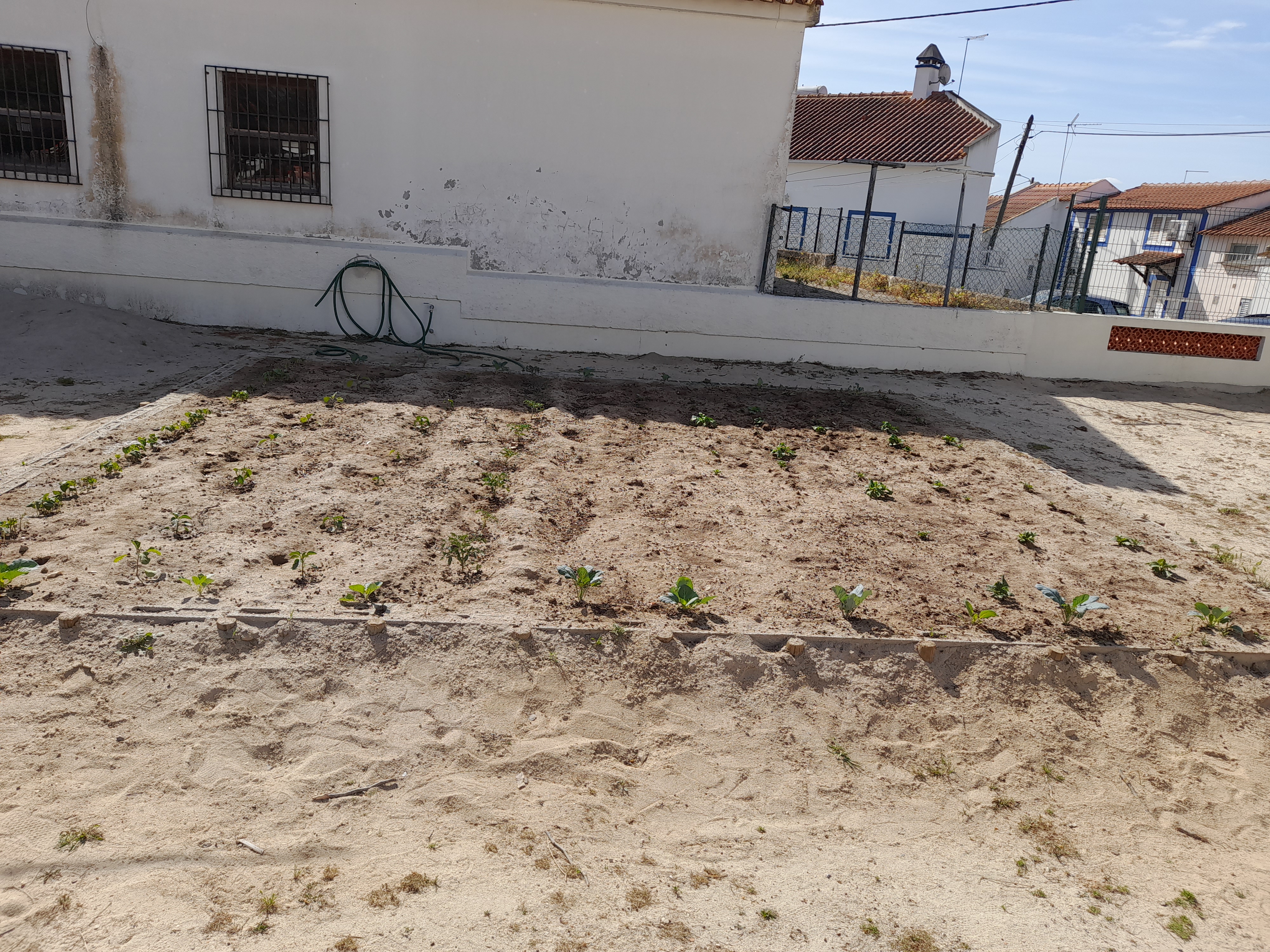 Germinação e enraizamento de plantas.
