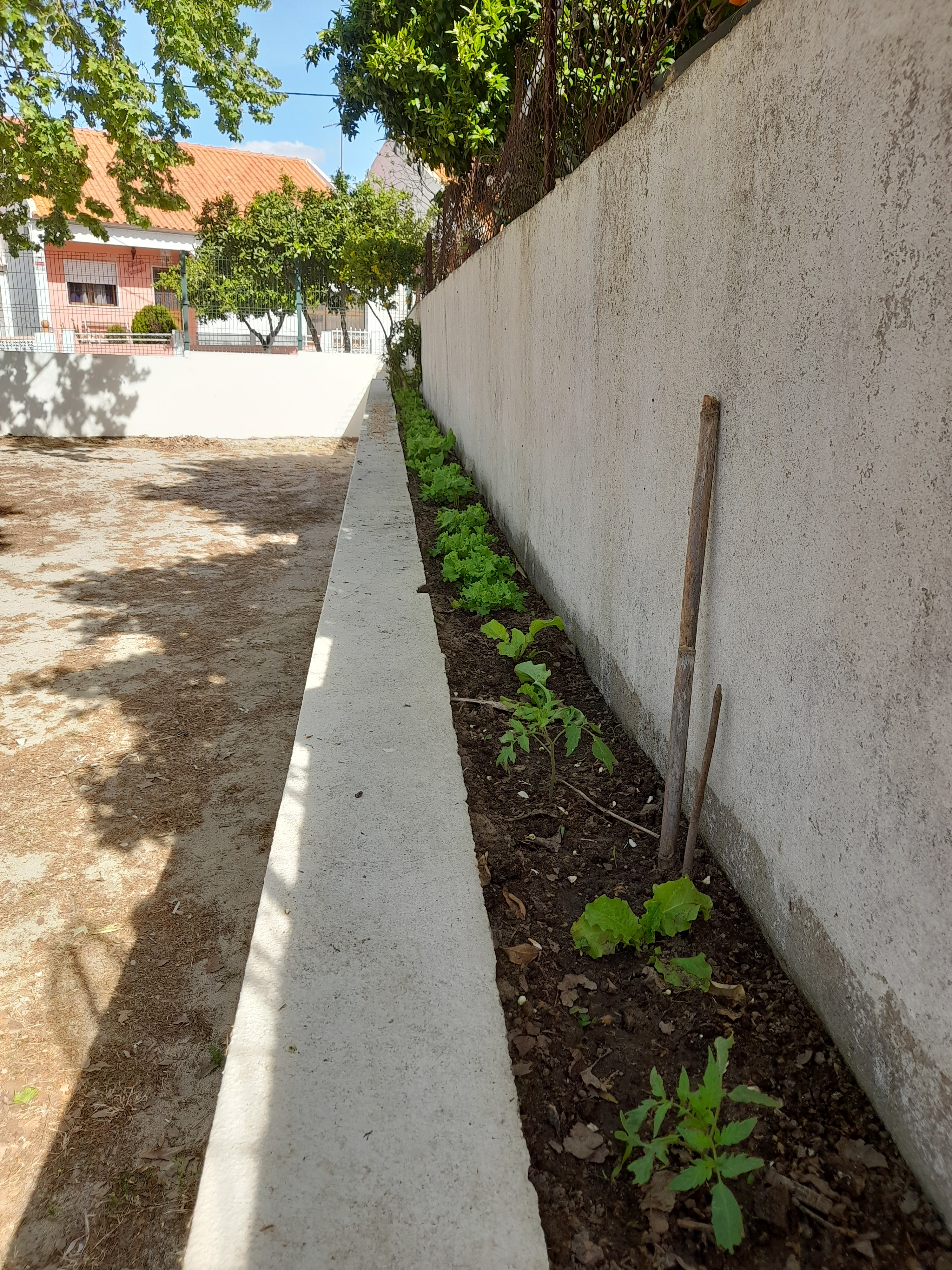 Germinação e enraizamento de plantas.