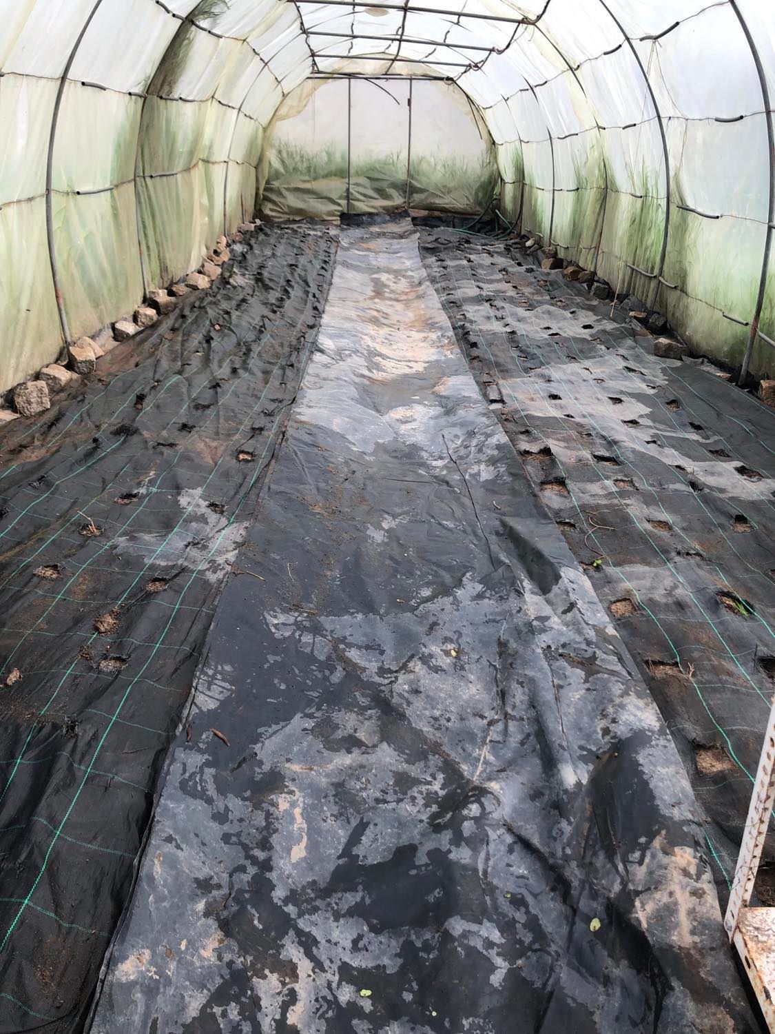 Pronta para as plantações