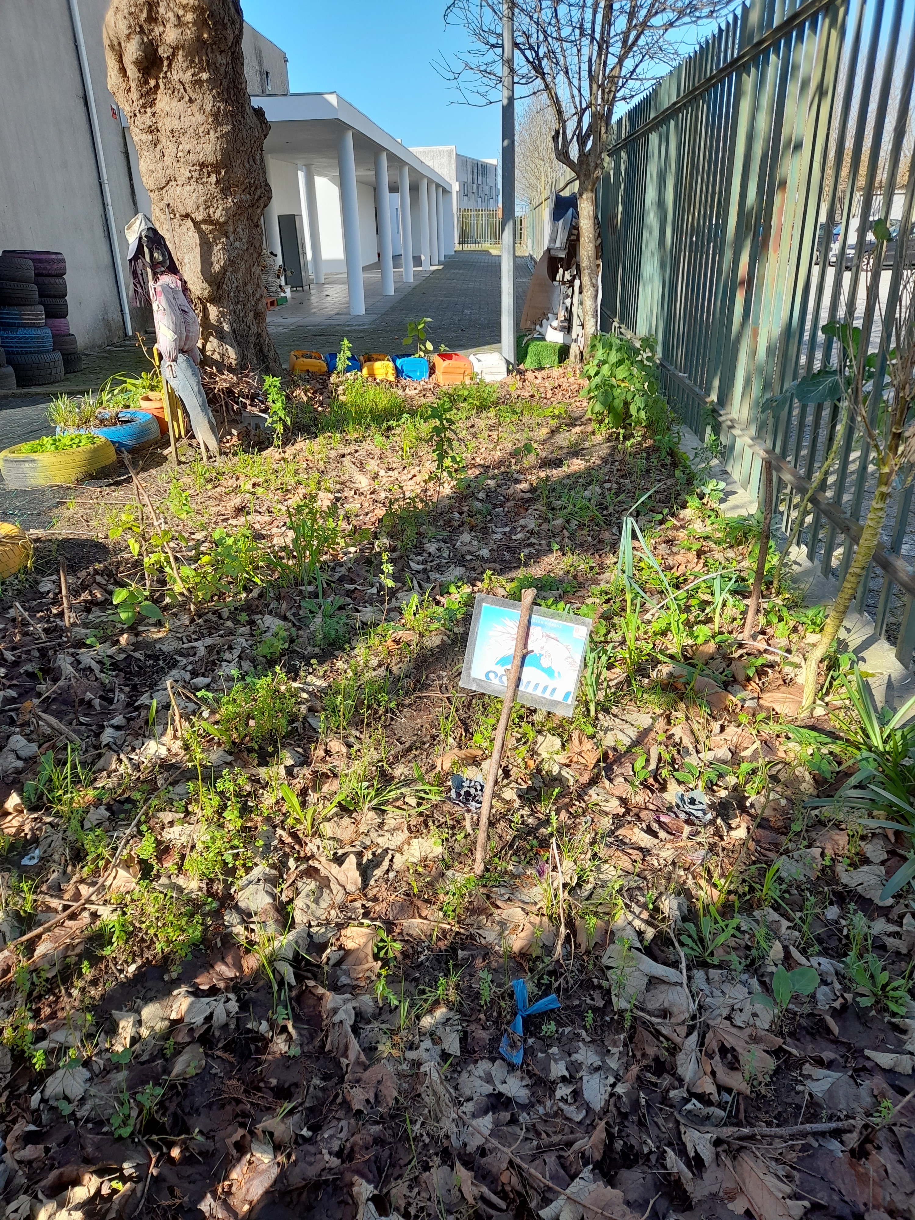 Terreno em Pousio