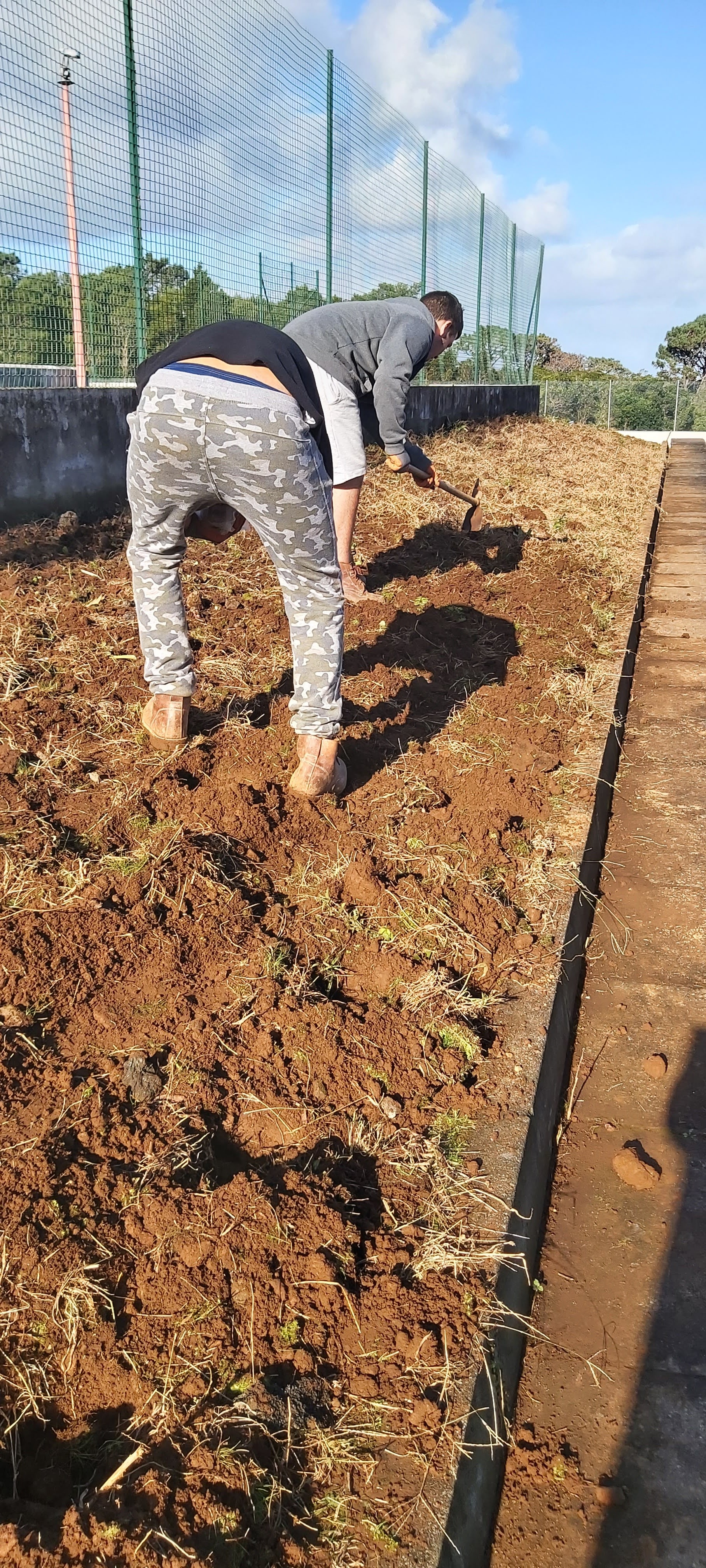 Preparação do plantio para o cultivo de favas