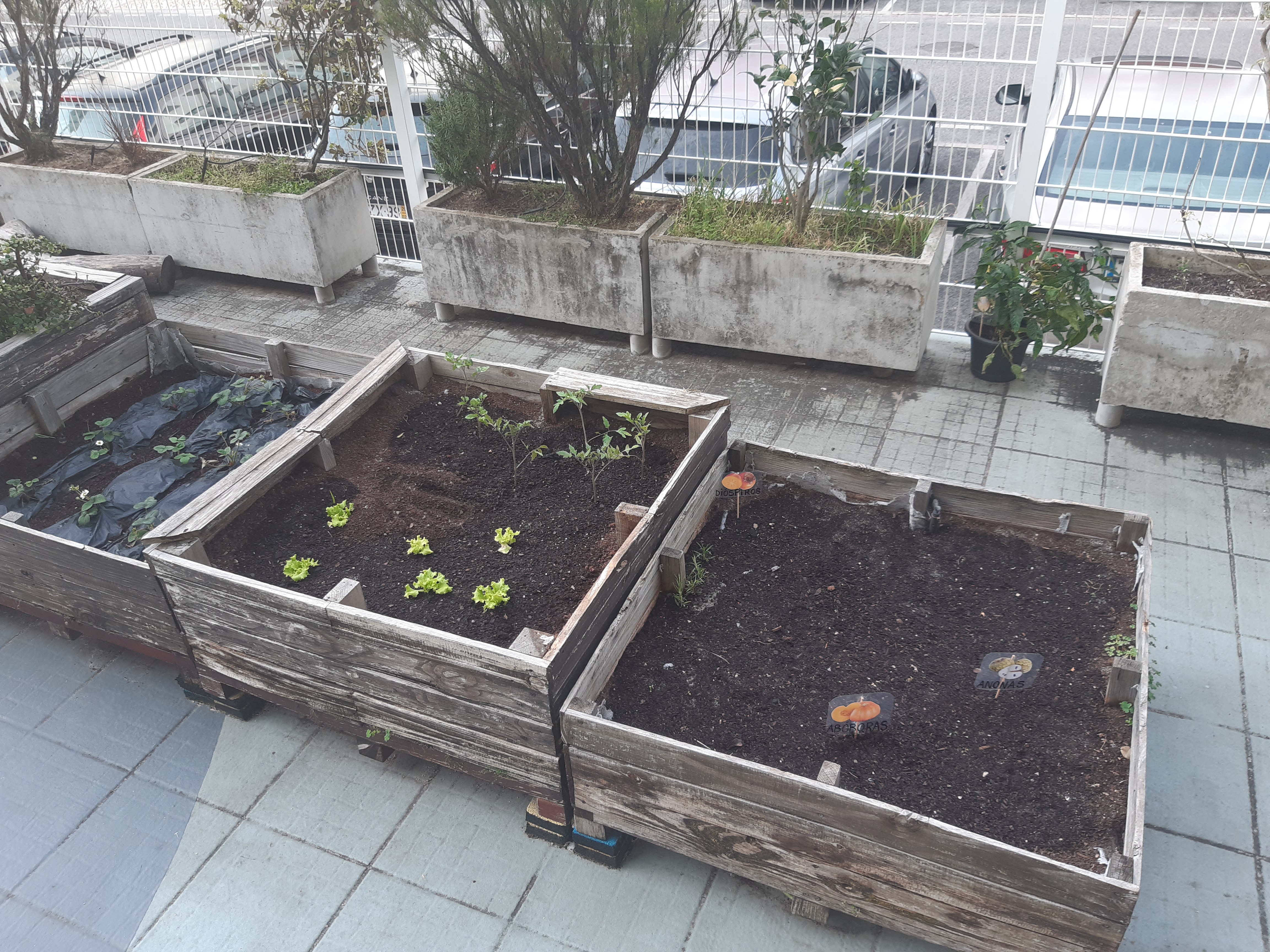 A Horta com todas as plantações