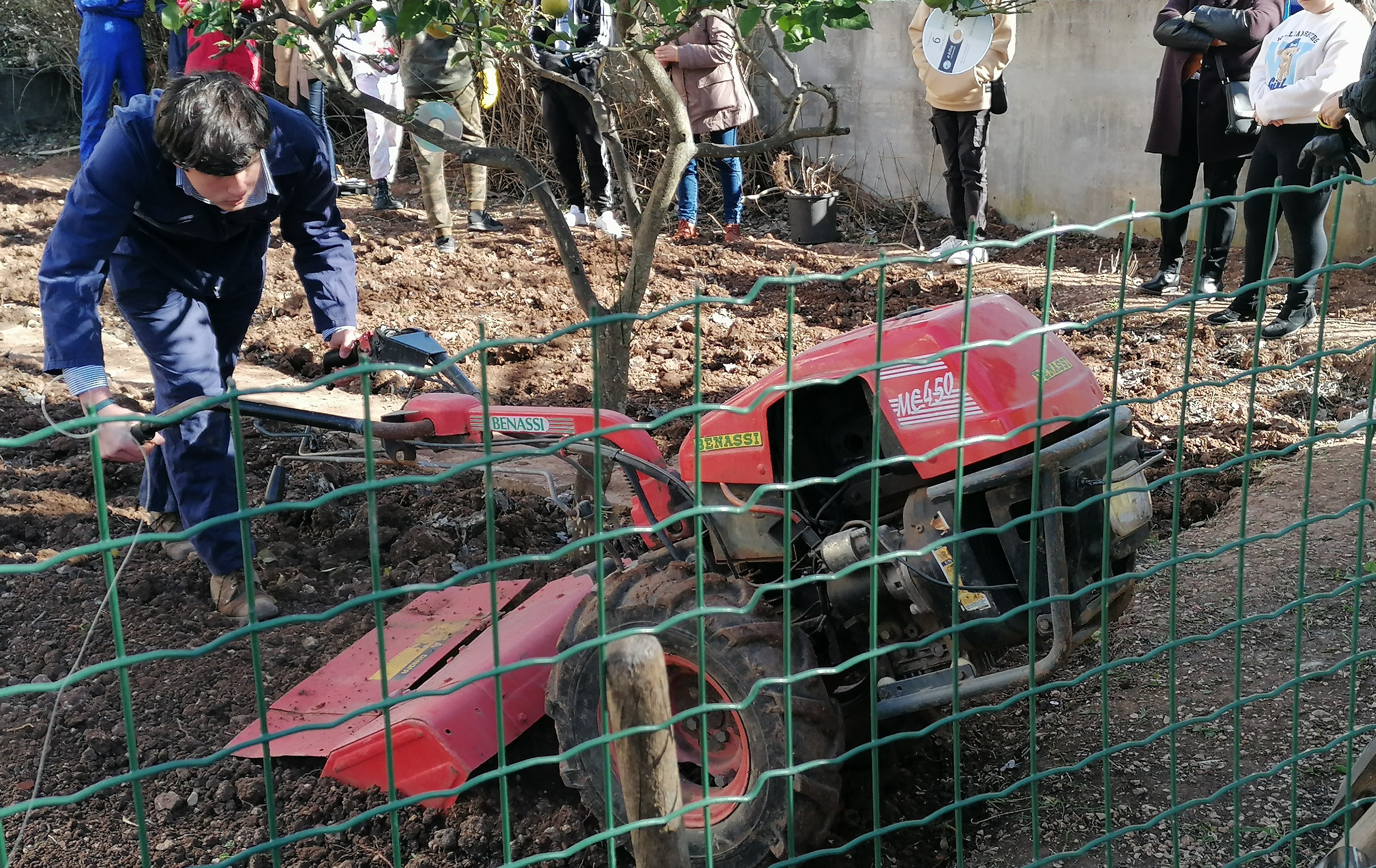 Preparação do terreno - exemplificação por aluno da escola agrícola da Paiã.