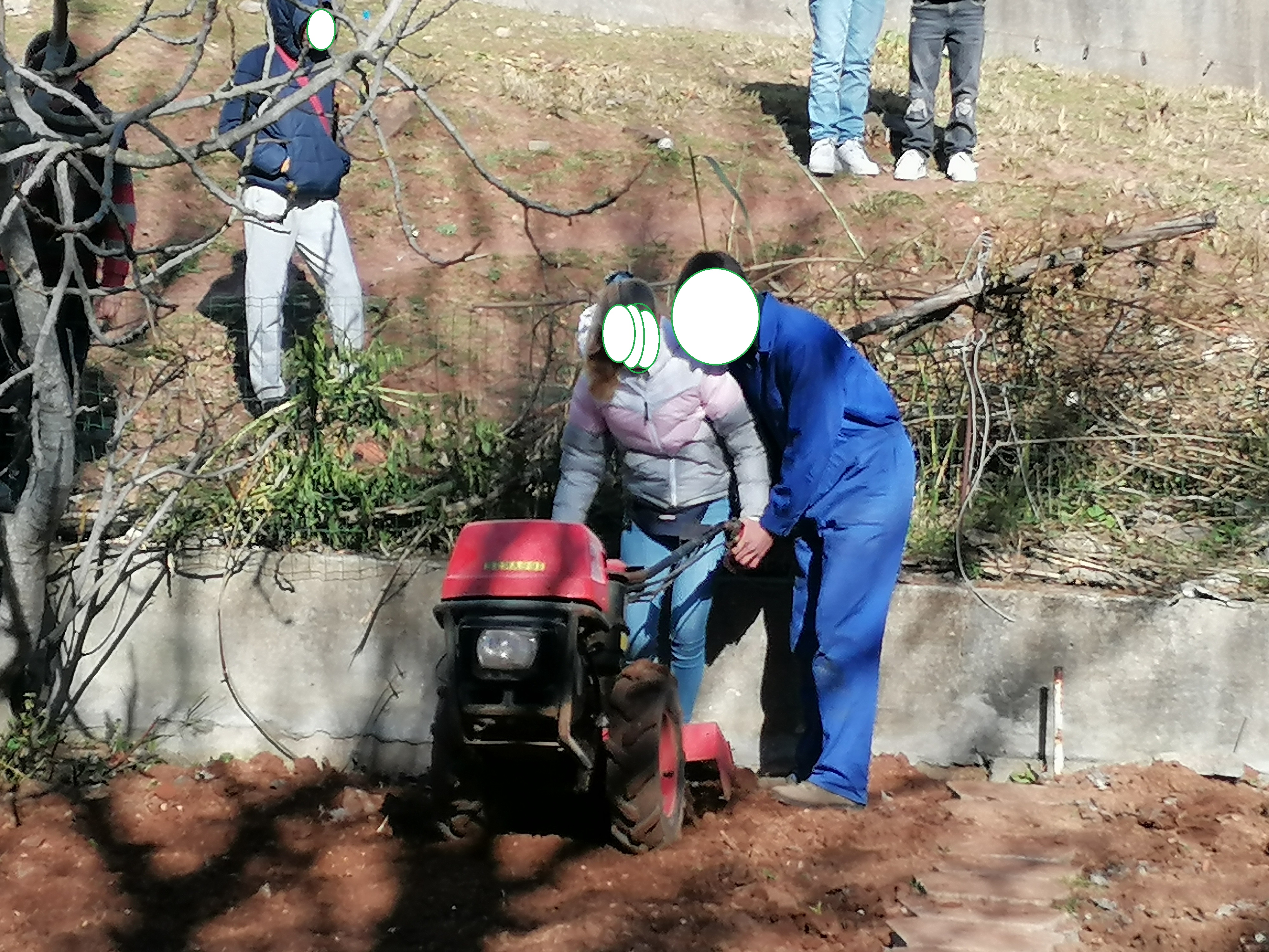 Uma aluna do 7.º D a aprender e praticar a preparação do terreno da horta.