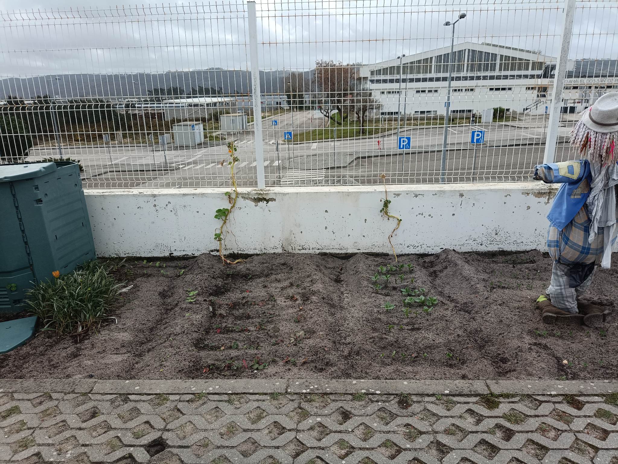 Canteiro com espantalho pronto a cultivar.