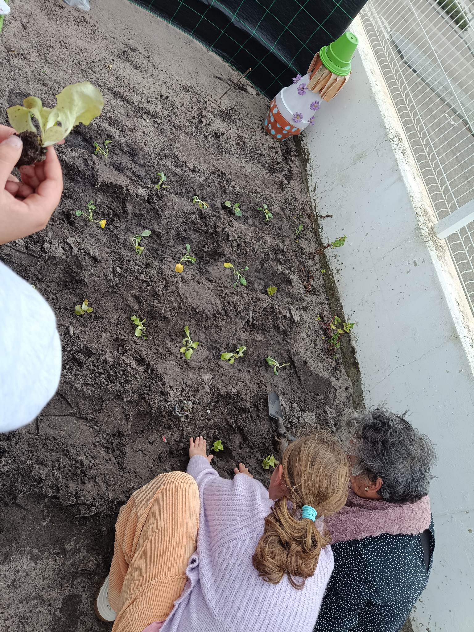 Mais uma aluna do 4ºano, neste caso, a plantar!