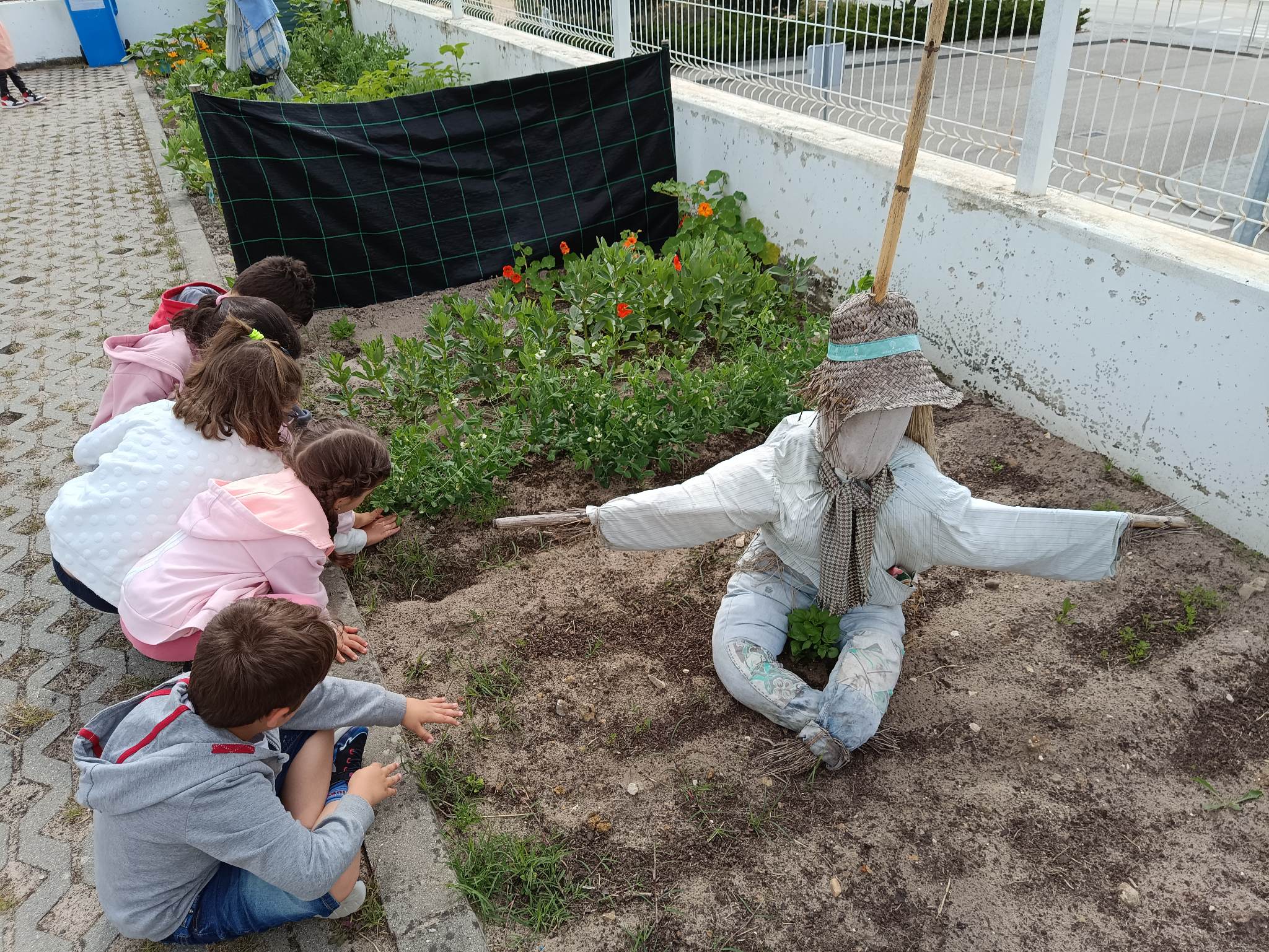 Os alunos do 1ºano e 2ºano a cuidar dos seus canteiros!