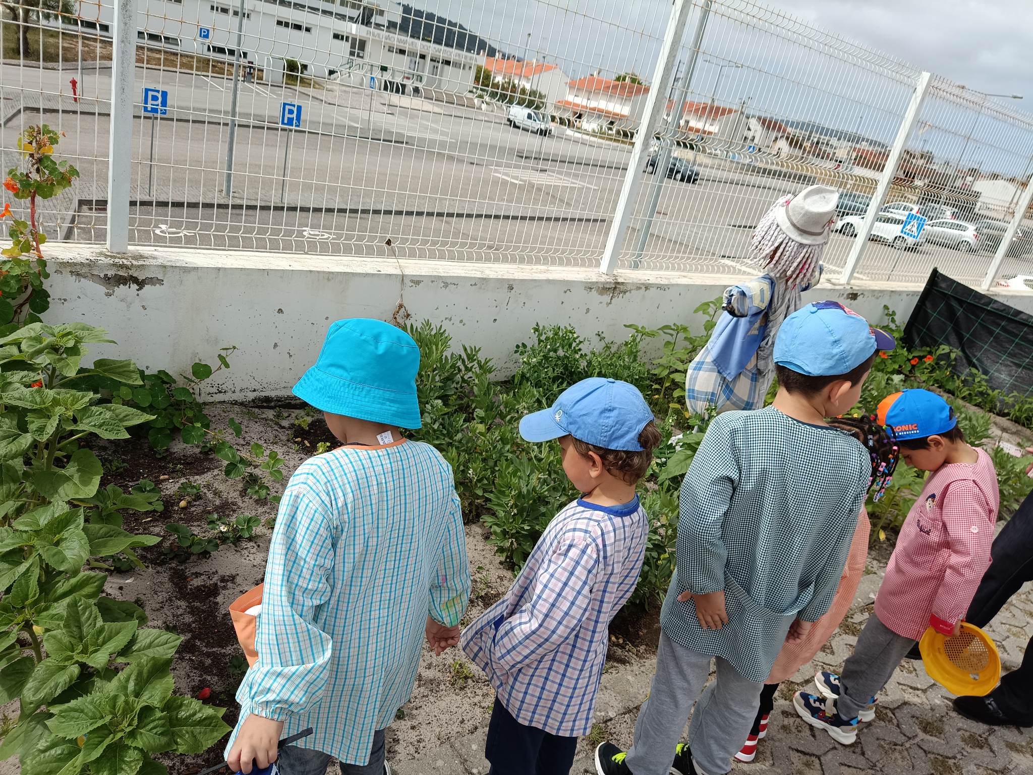 Alunos da pré a regar as suas plantinhas e hortícolas!