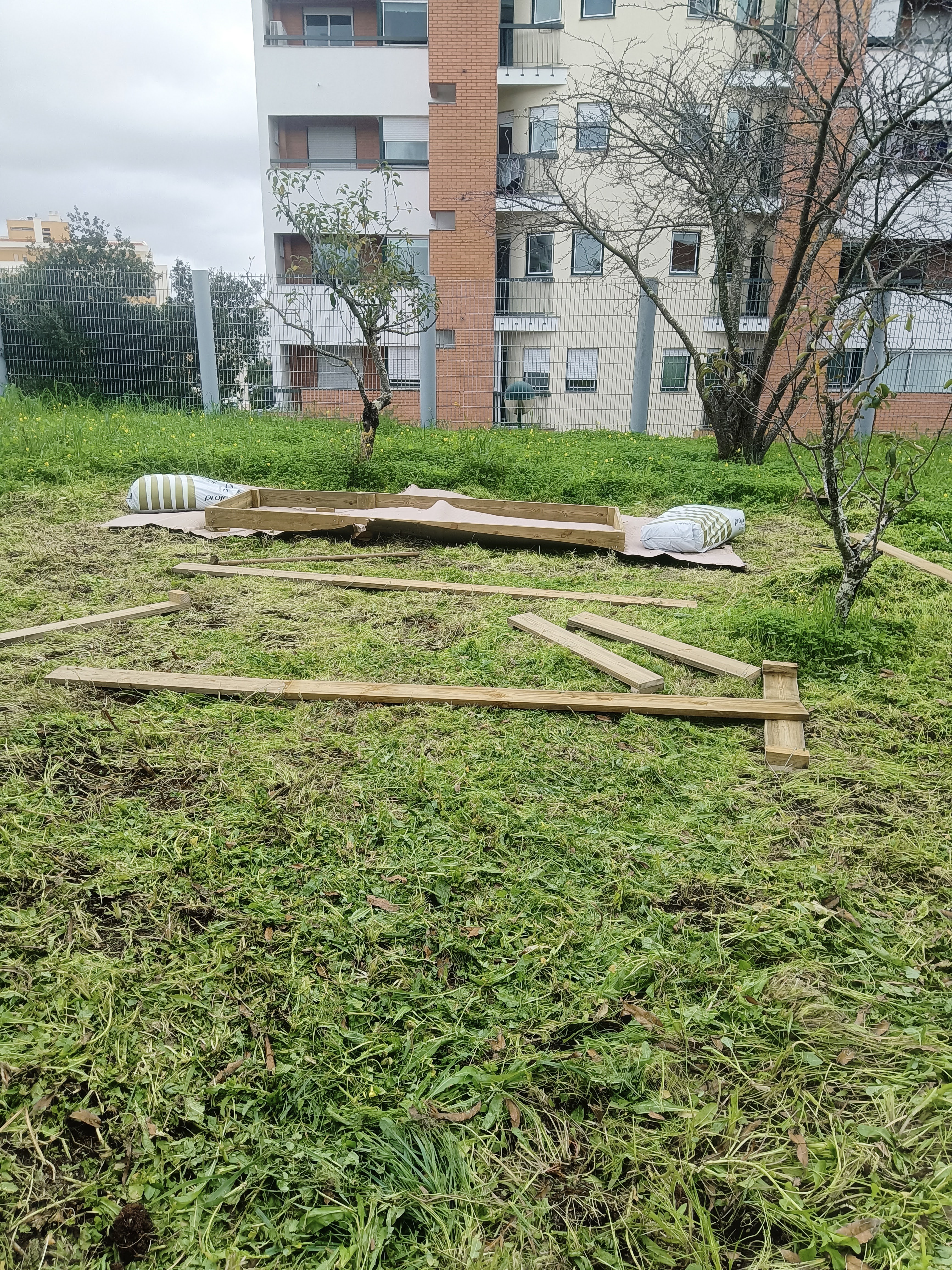 Local de implementação da horta- Depois
