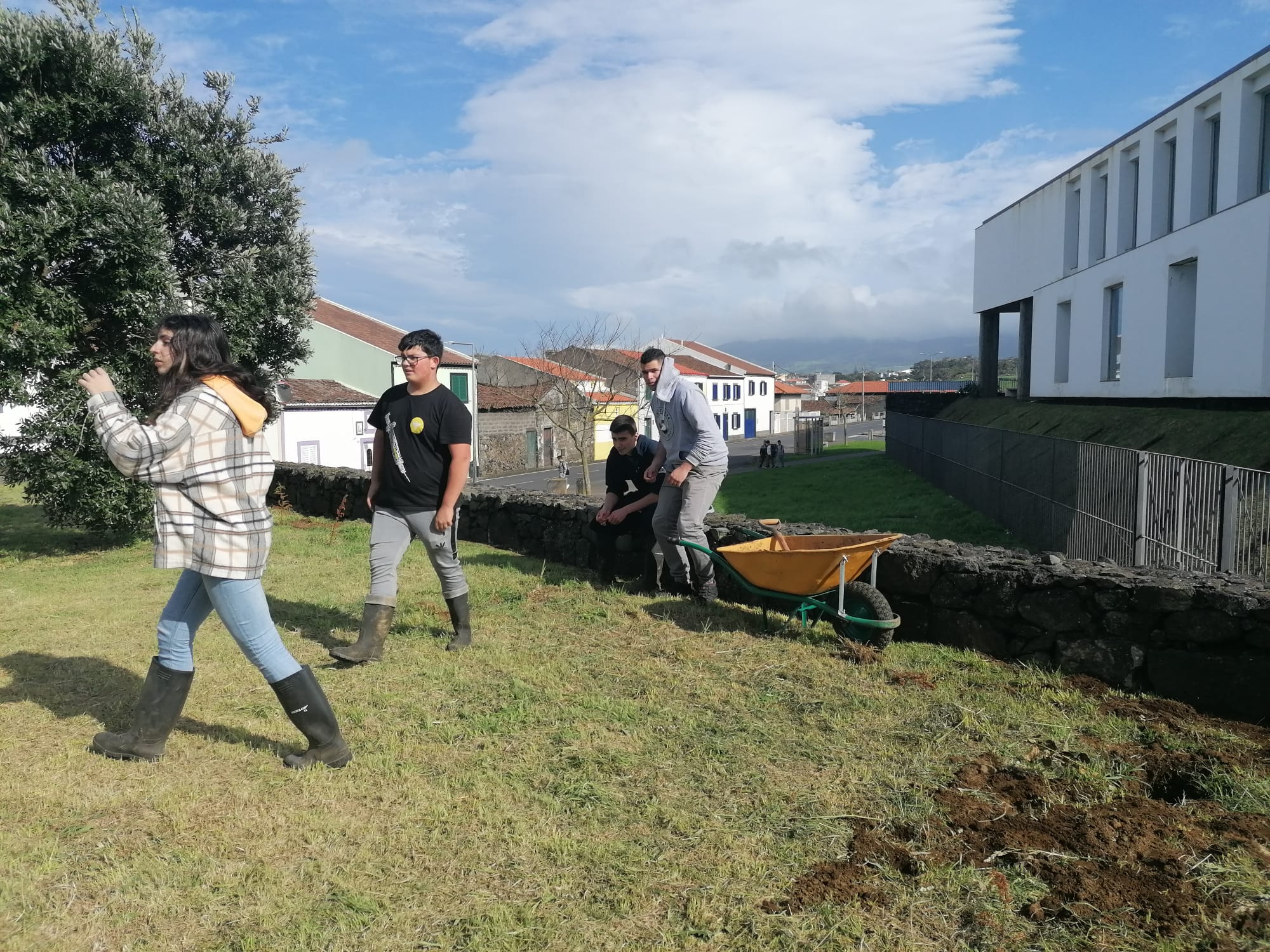 Preparação do terreno