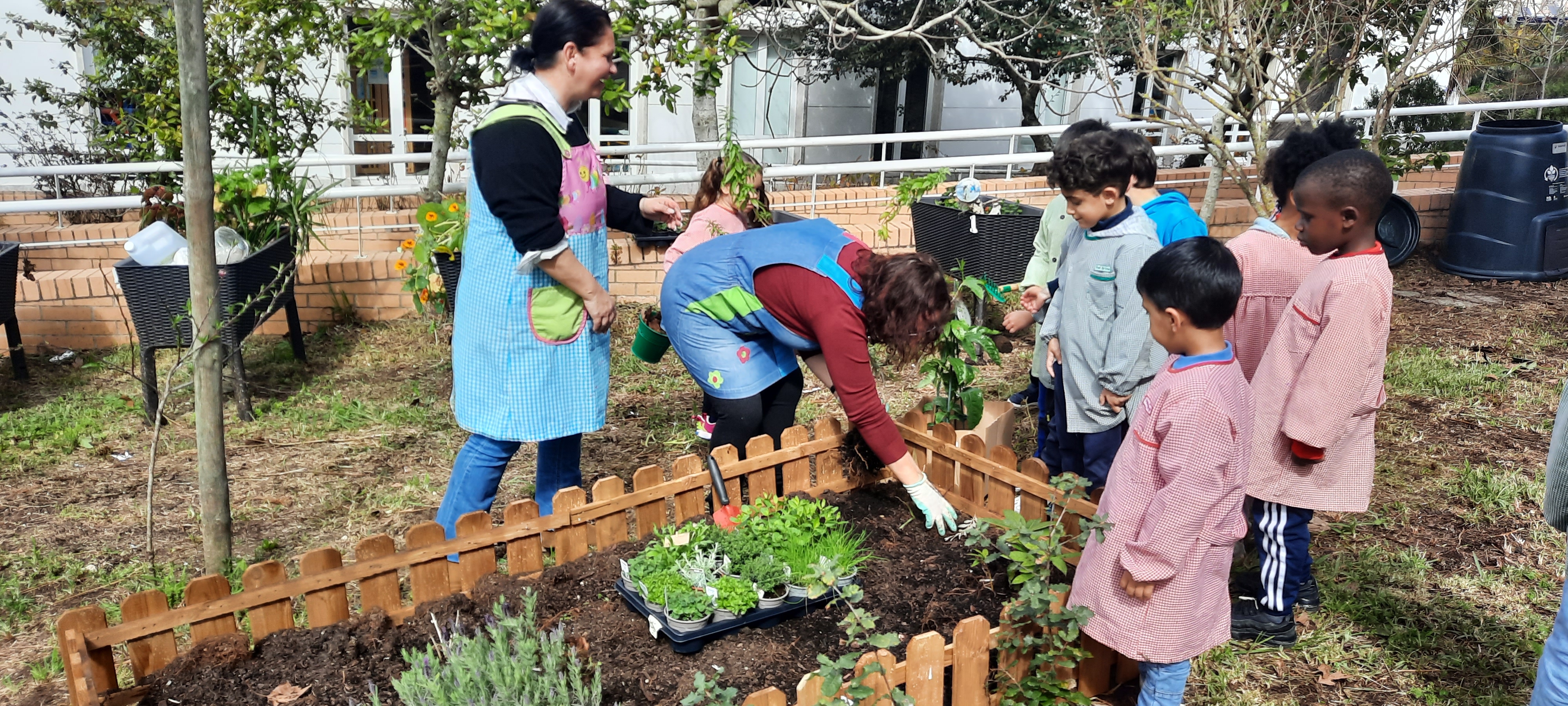 Plantação das aromáticas
