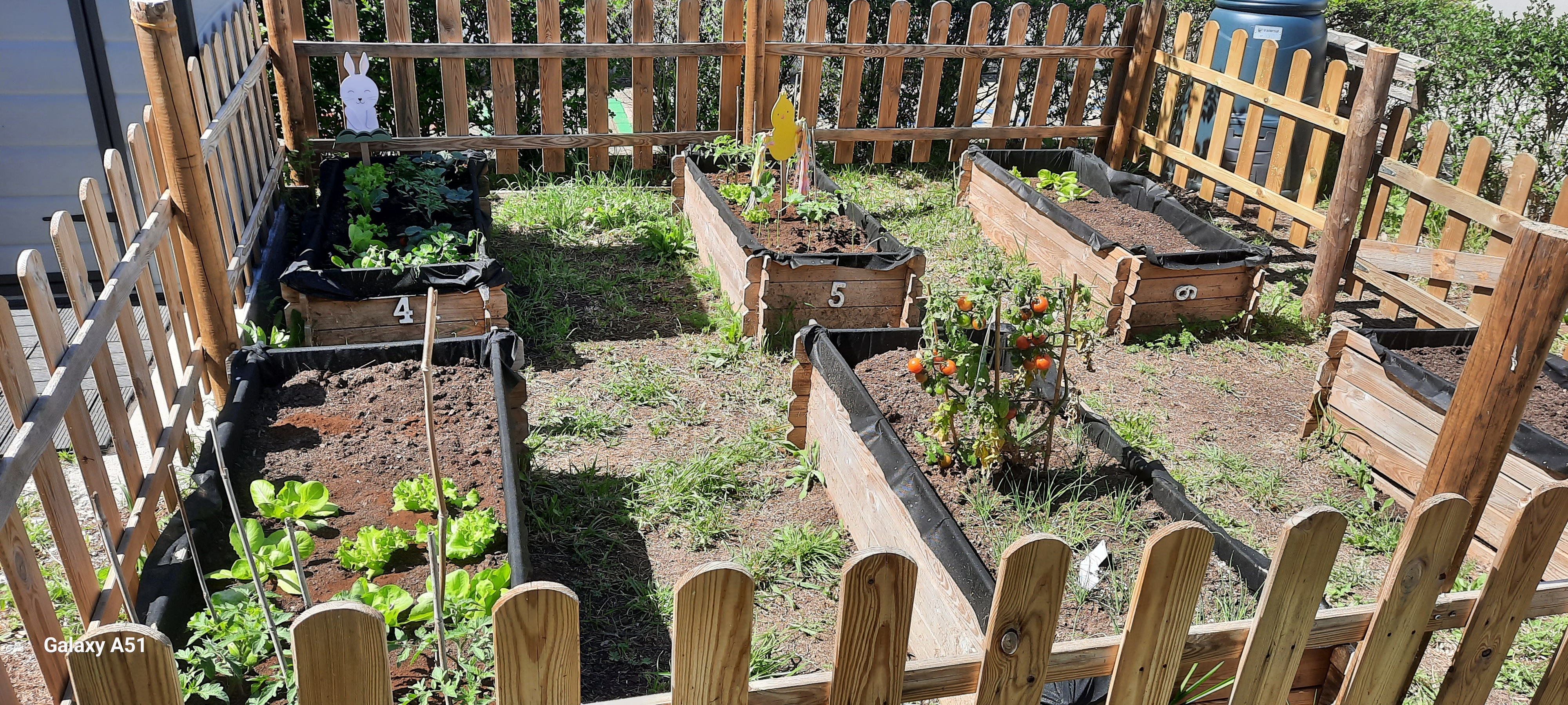 Horta dos hortícolas