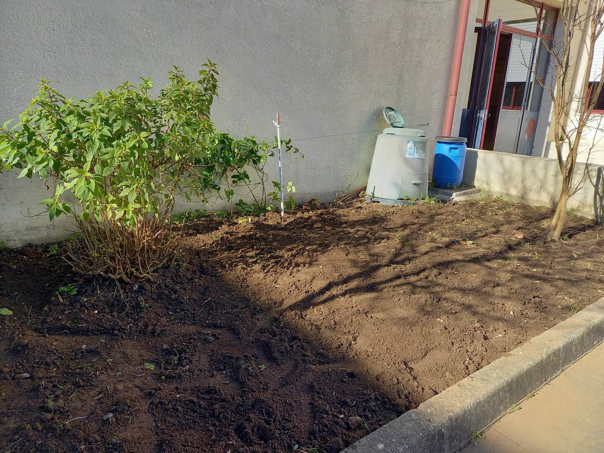 3 - Terra pronta para cultivo