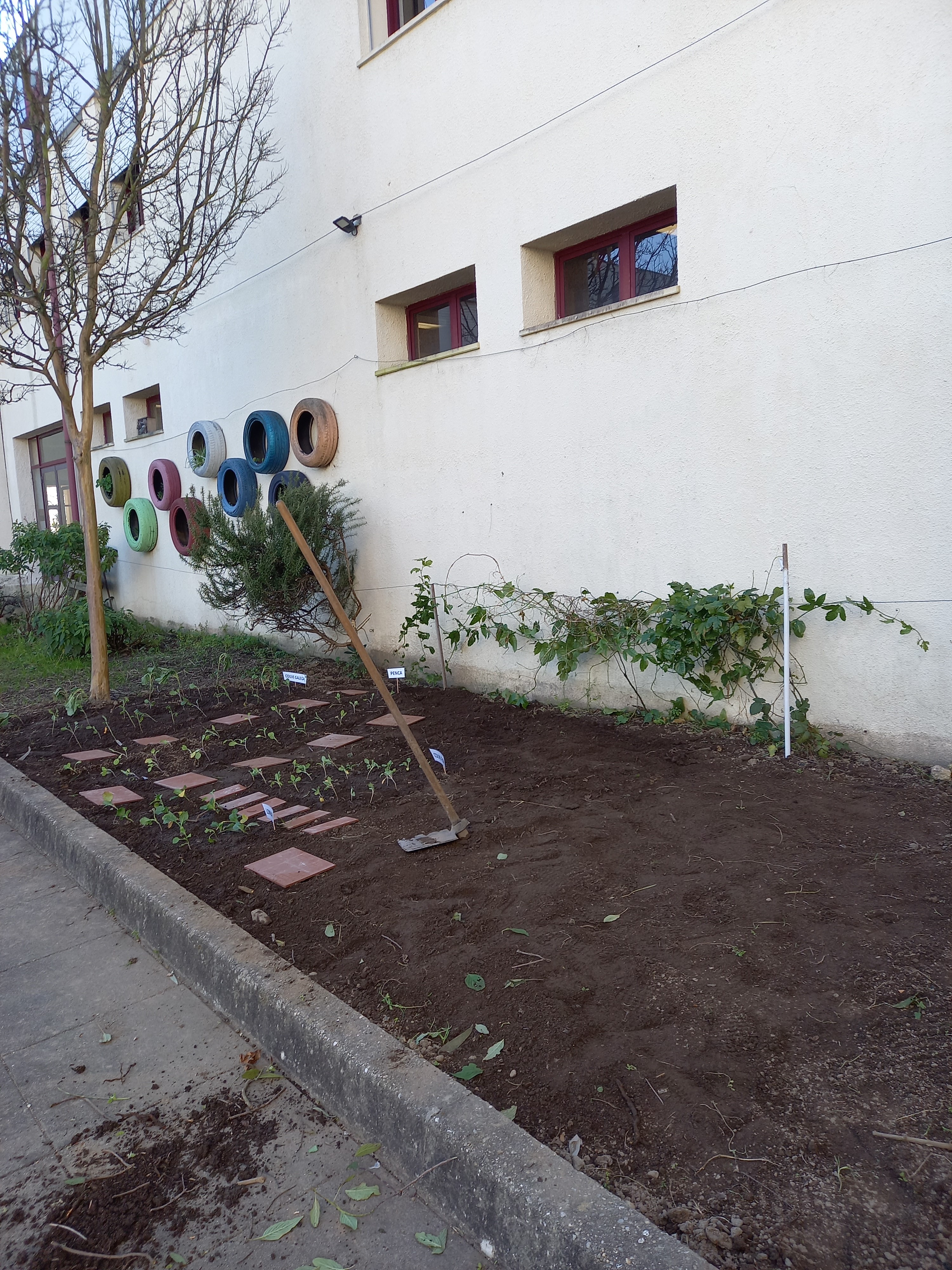3 - Terra pronta para cultivo
