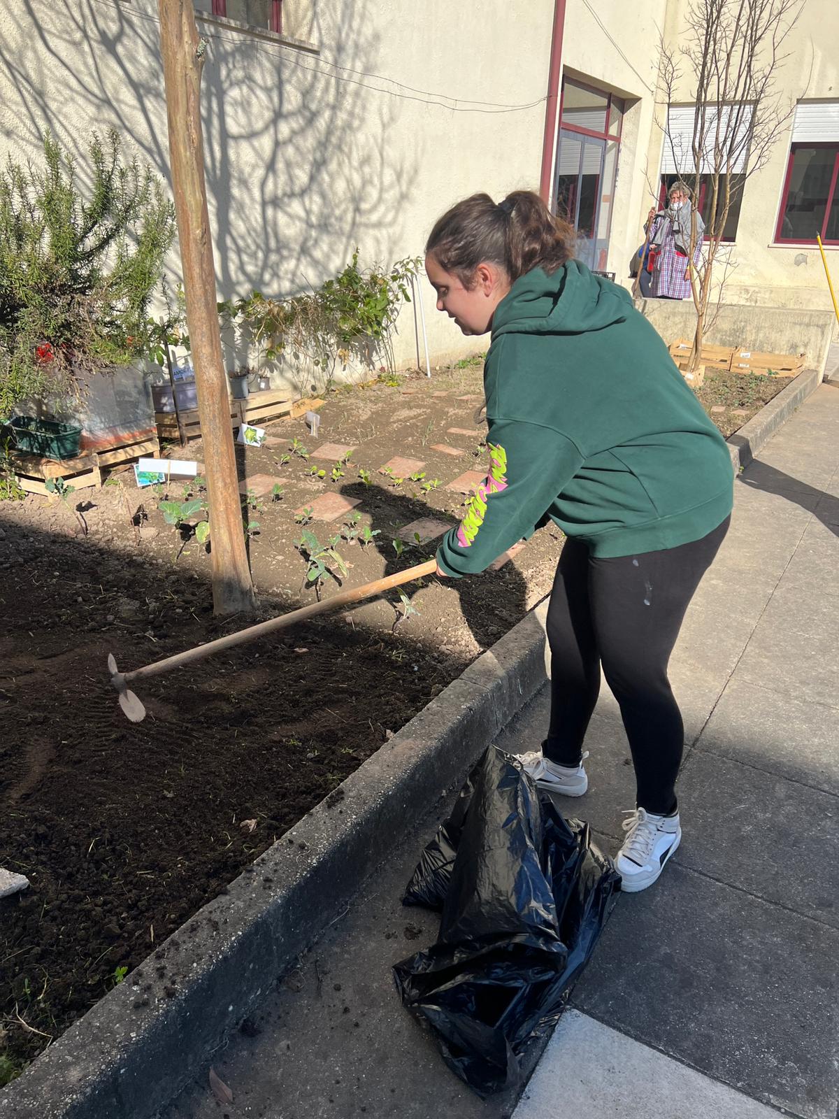 6 - Preparação do Terreno (alargamento da zona de cultivo)