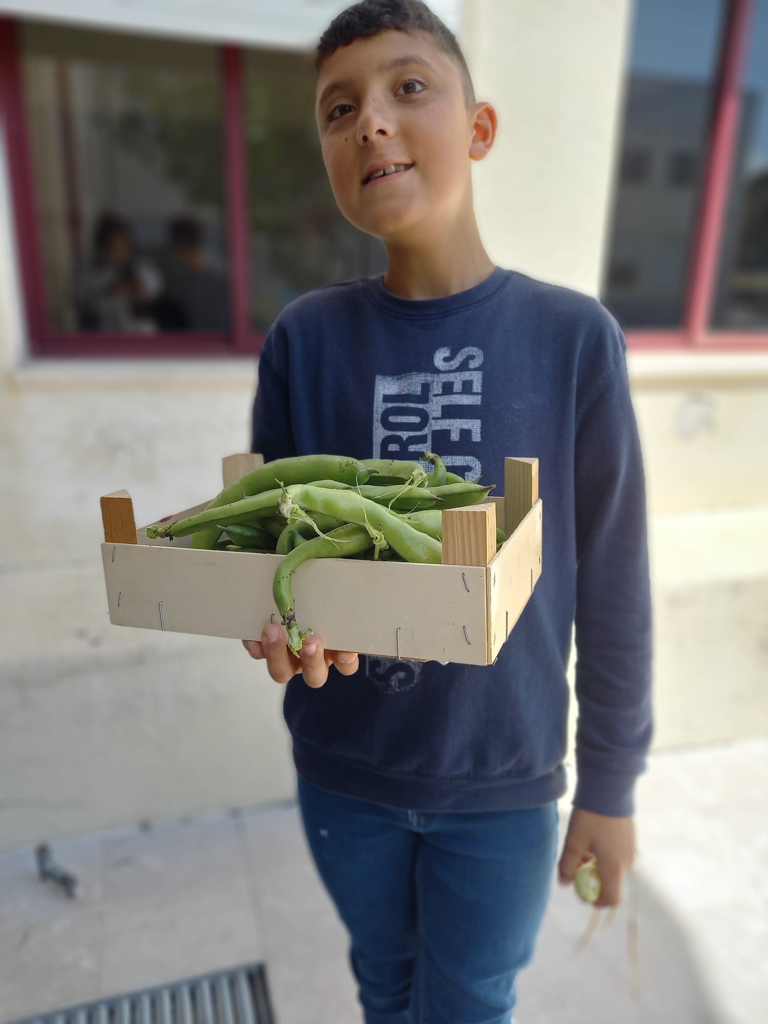 2. As favas