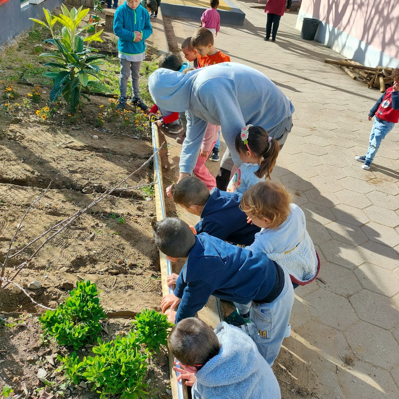 horta do pré -escolar a ser reconstruída com um pai