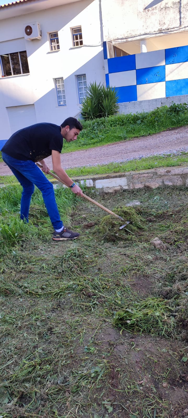 1- Preparação da terra para o cultivo: retirando ervas daninhas.