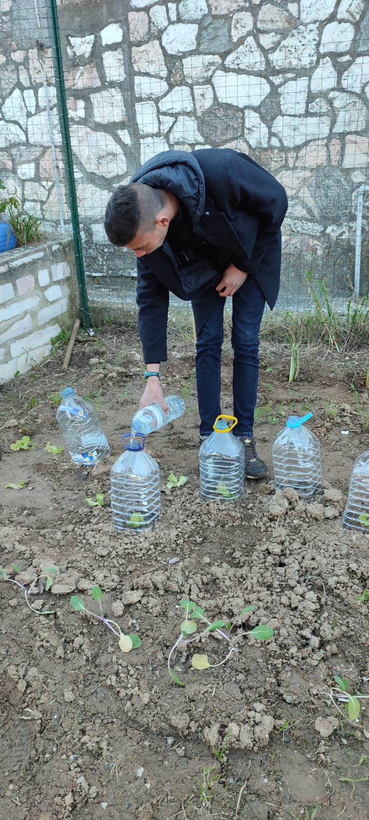 Regando as plantas...
