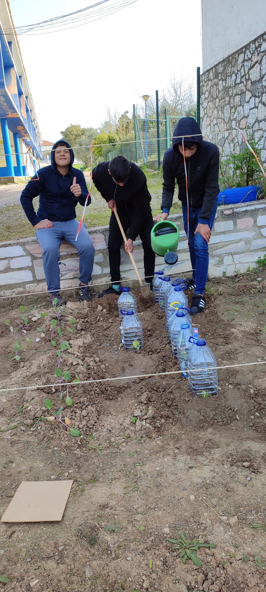 Cuidando da horta...