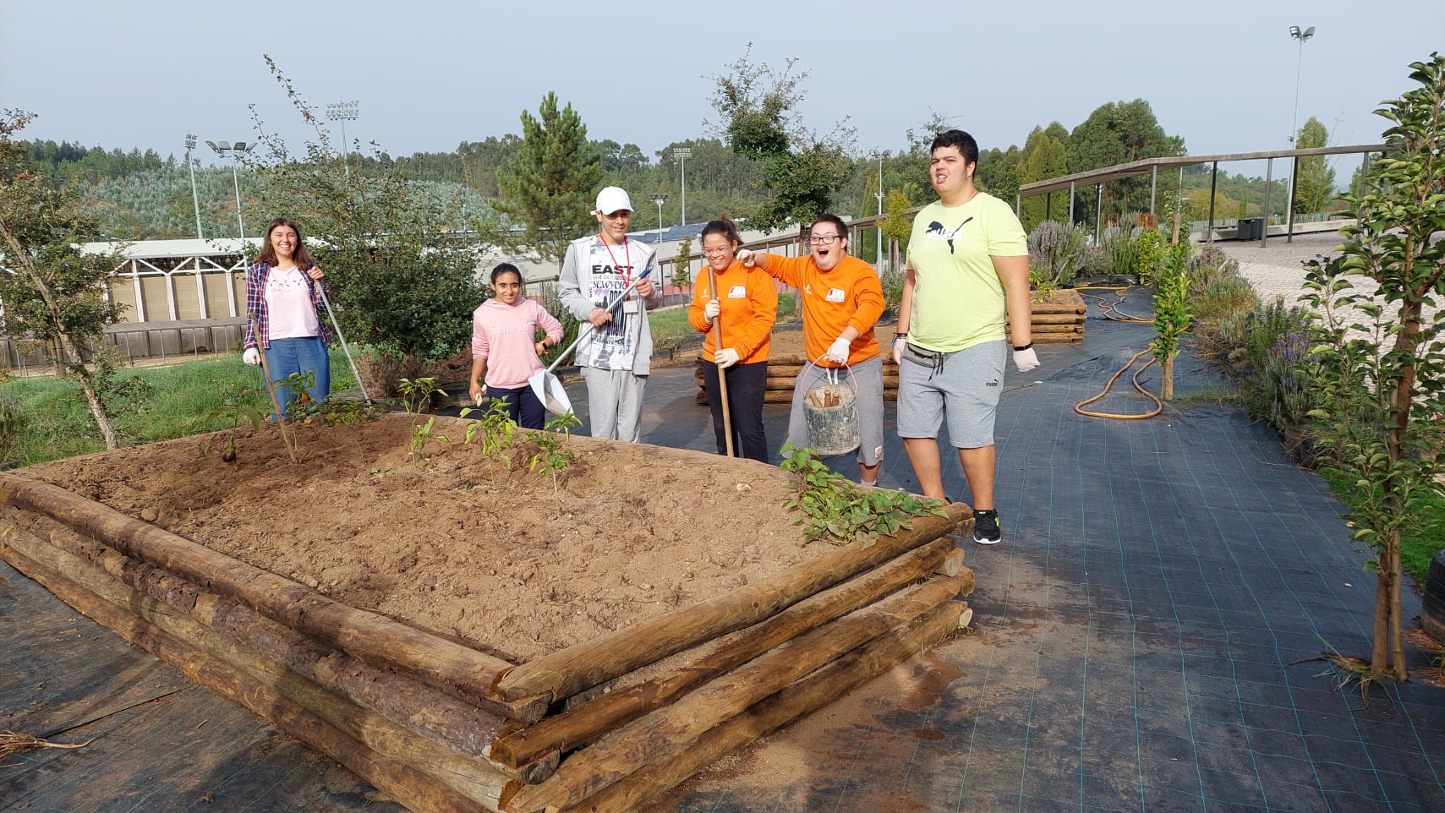 Limpeza da horta, por um grupo de 7 alunos do ensino especial.