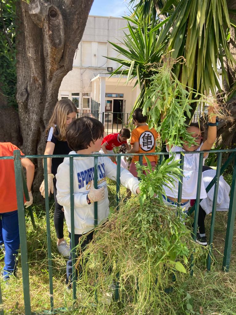 quitando hierbas