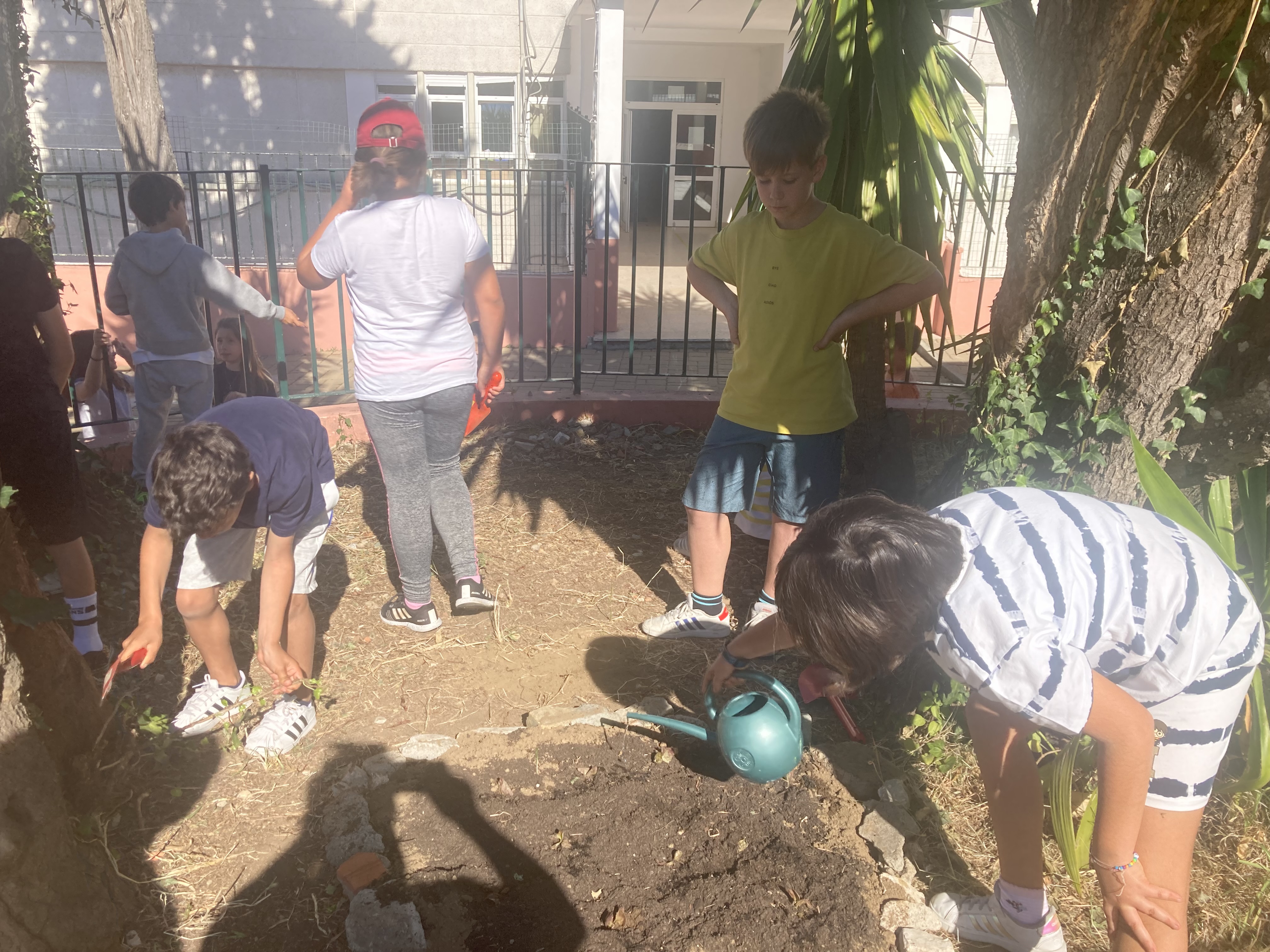 preparando el suelo