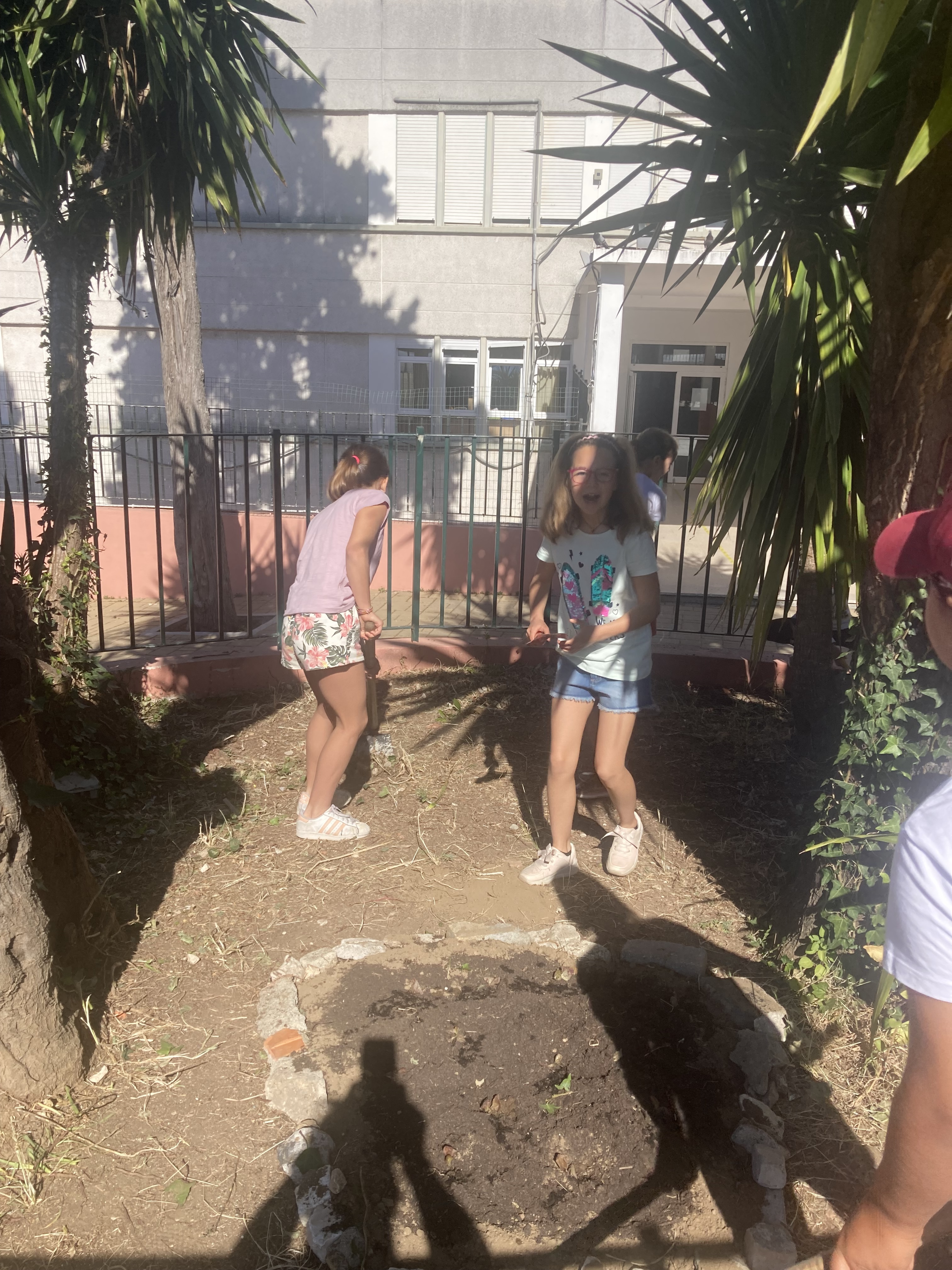 preparando para plantar