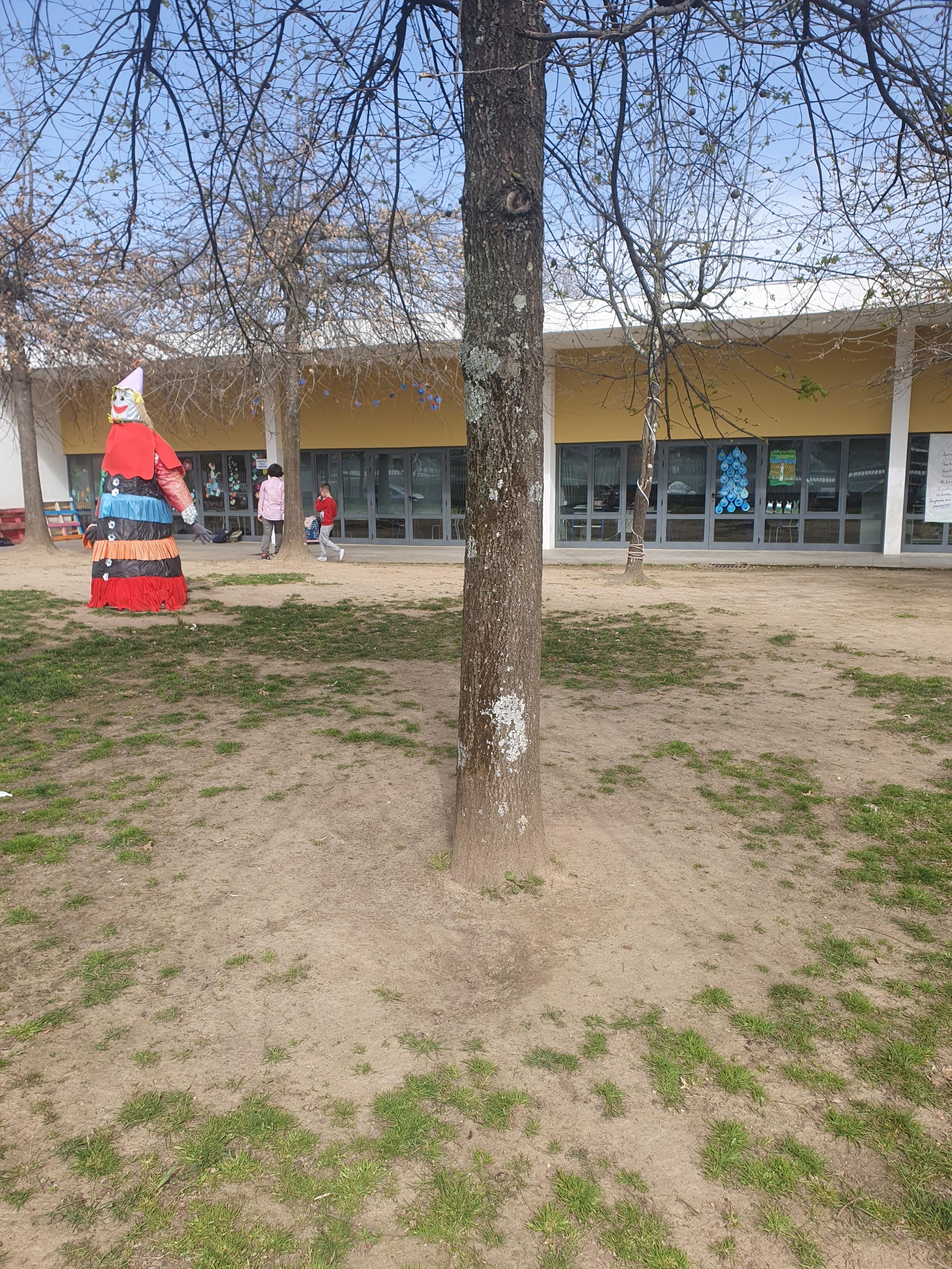 Espaço Horta
Espaço para a horta dos insetos: Horta aromática