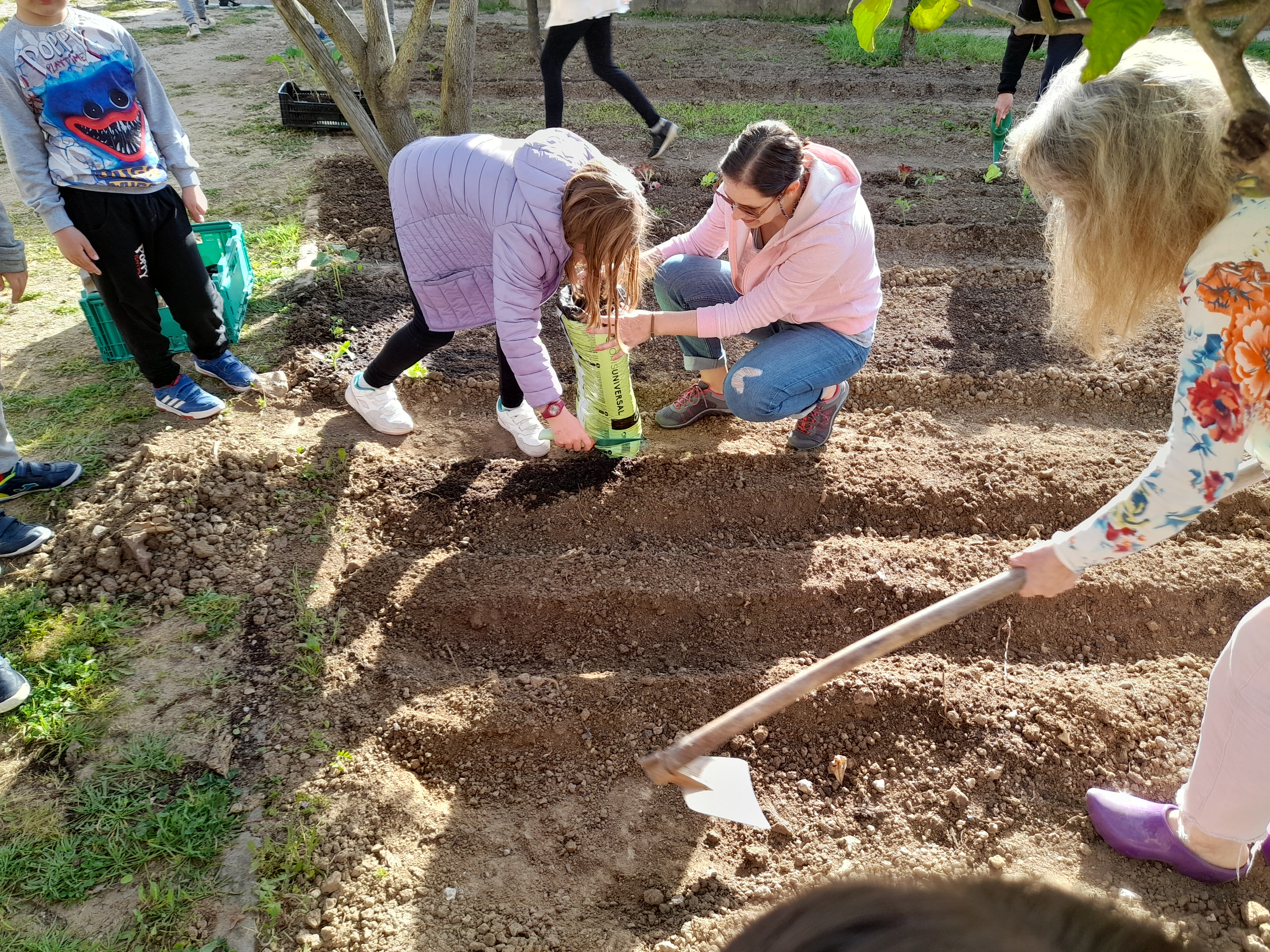 Preparar a terra: As crianças com ajuda da avó da horta preparam a terra para plantar morangueiro.