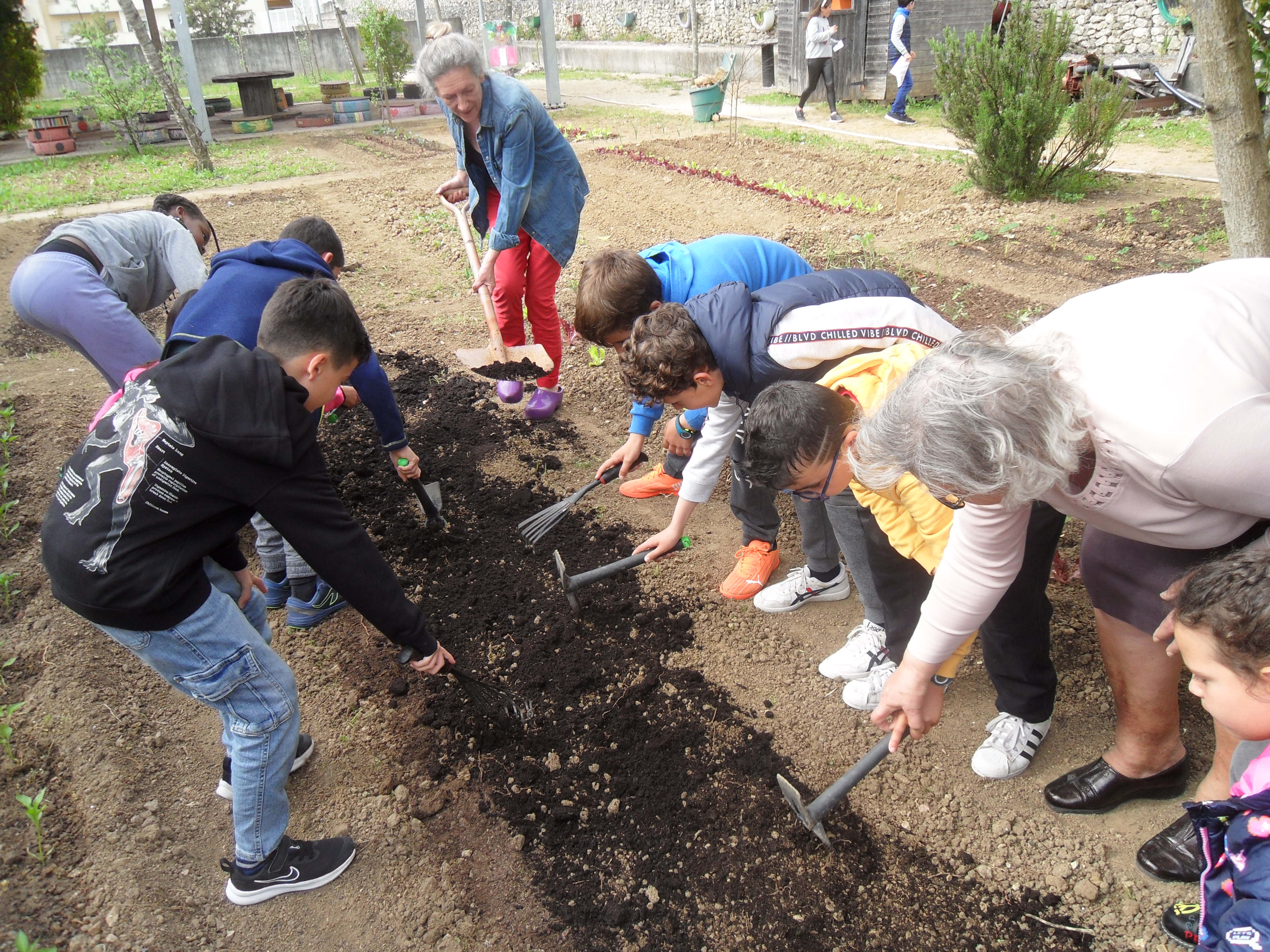 Fertilização da terra:
As crianças fertilizam a terra com a ajuda de outra das avós da horta para de seguida plantarem pepinos e bringelas.