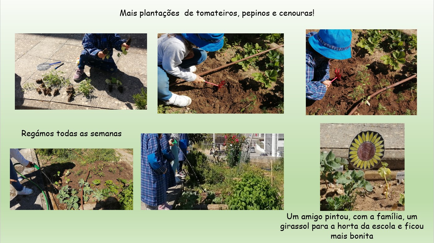 Mais plantações de tomateiros, pepinos e cenouras.