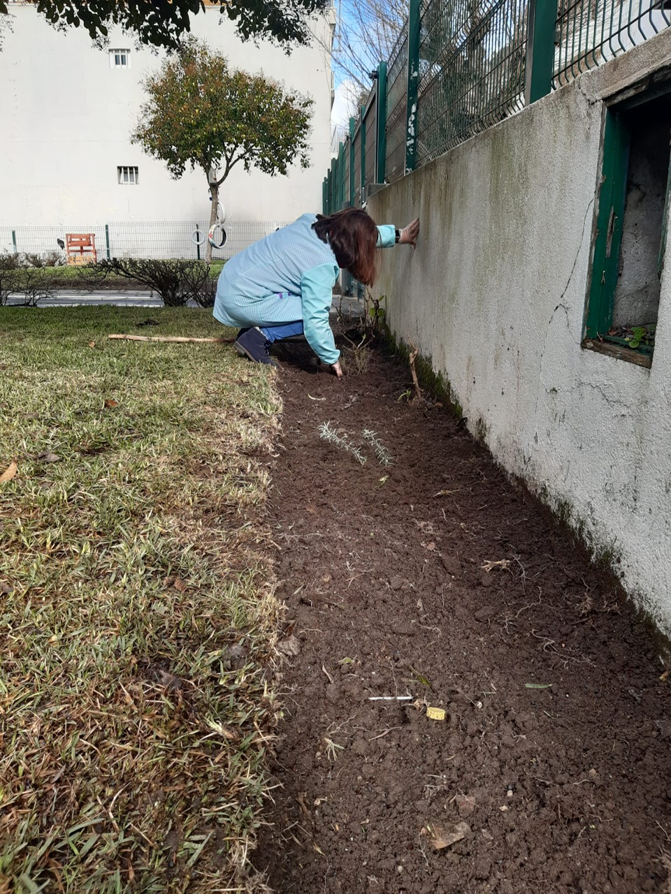 Preparação da terra para plantação