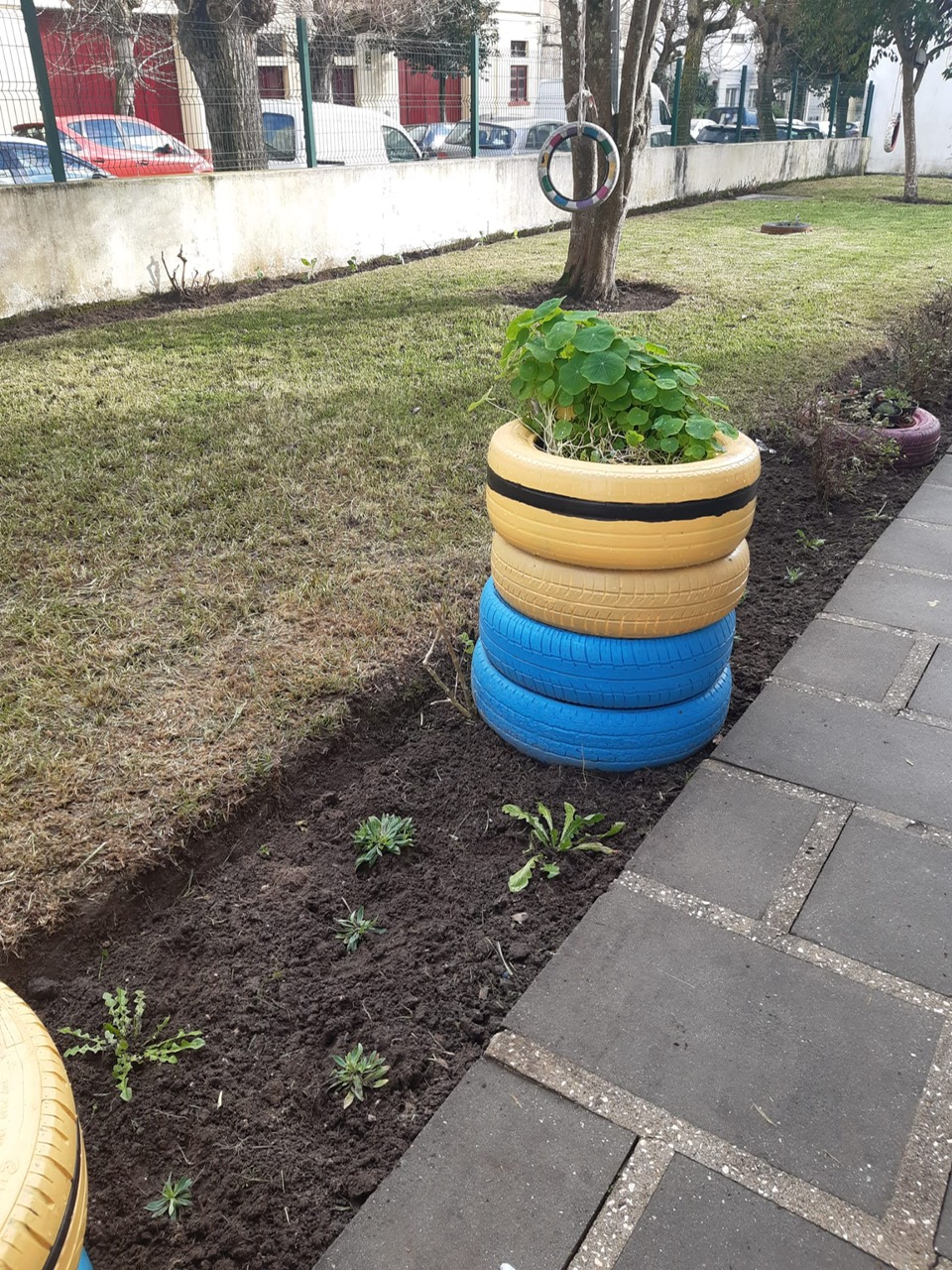 Canteiro de plantas ornamentais