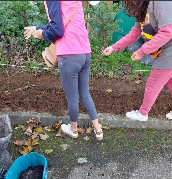 Sementeira das favas com a participação de alunos de uma turma