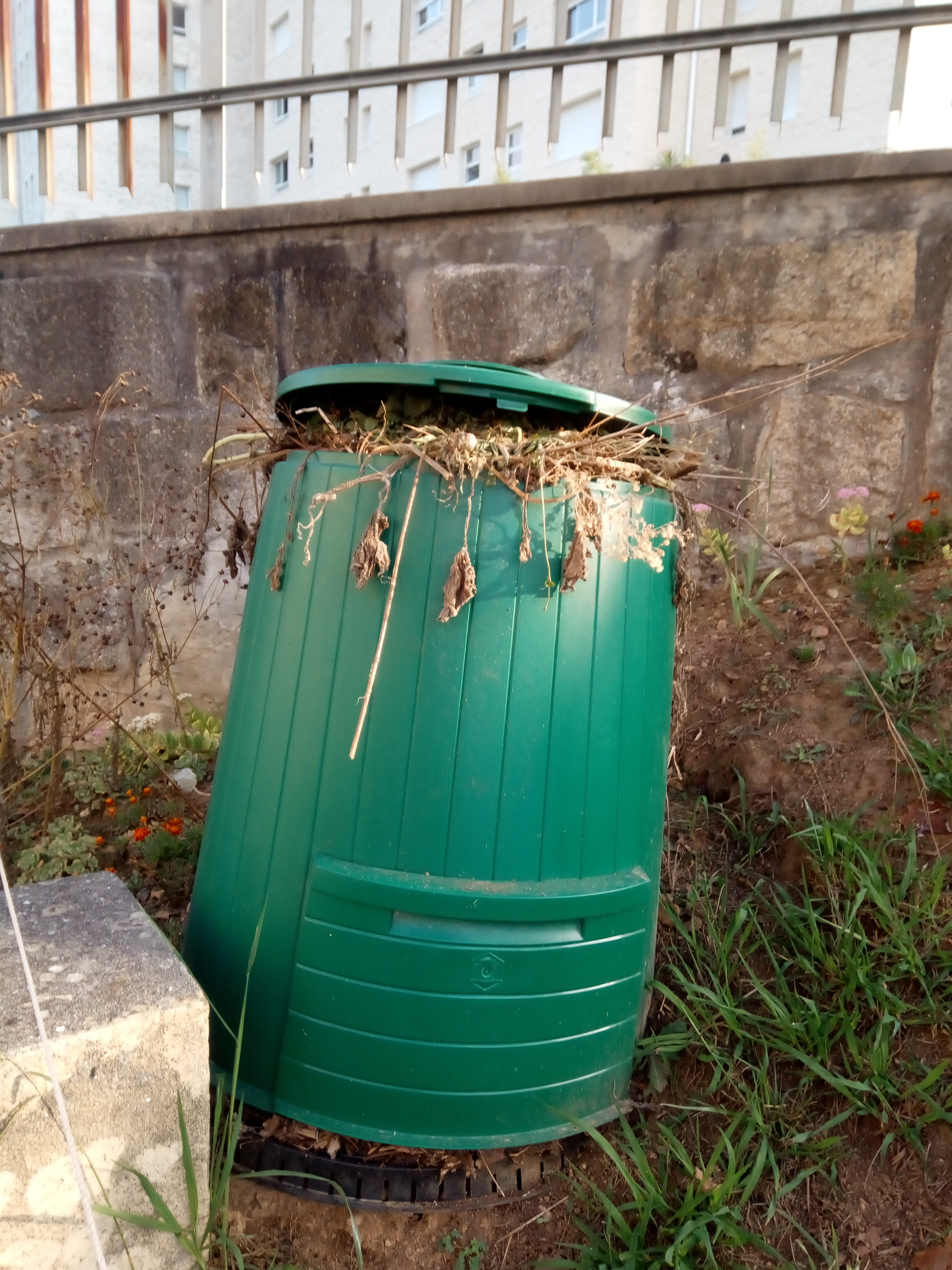 Compostor - restos da limpeza da horta - outubro
