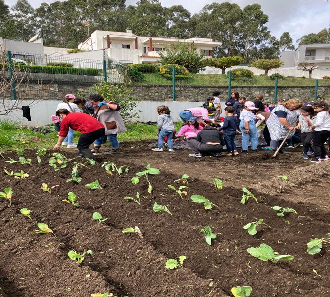realização de plantações de diversos produtos hortícolas e sementeiras com a participação de encarregados de educação, assistentes operacionais, professores e alunos.