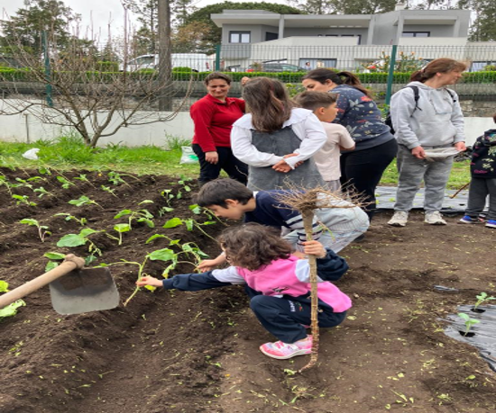 realização de plantações de diversos produtos hortícolas e sementeiras com a participação de encarregados de educação, assistentes operacionais, professores e alunos.