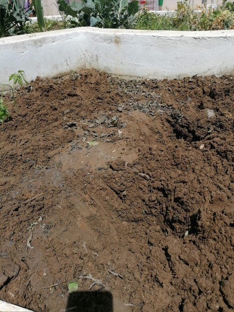 Preparação do terreno para a plantação