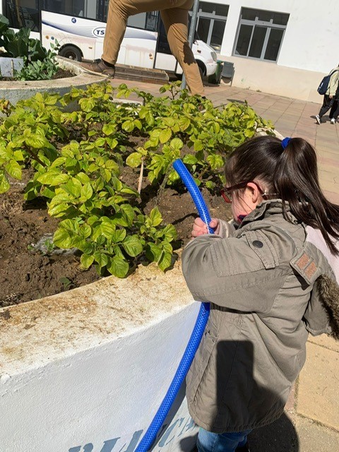Aluna do Centro de Apoio à Aprendizagem (CAA) a regar