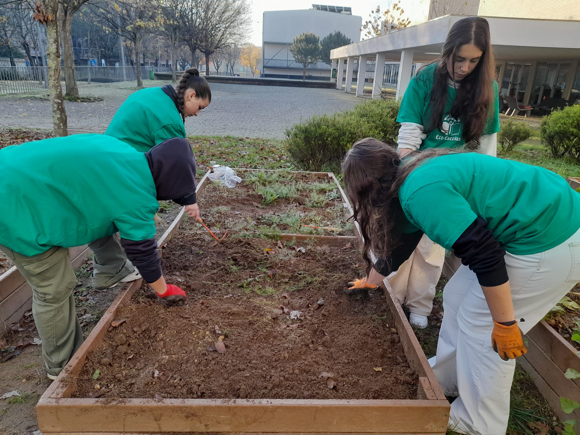 Novembro - Preparação da terra para a sementeira das leguminosas. Limpeza e adição de composto.